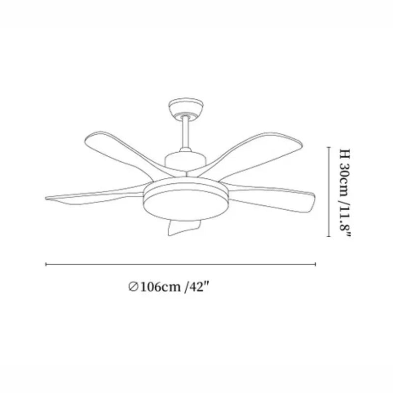 Arellian Ceiling Fan Light