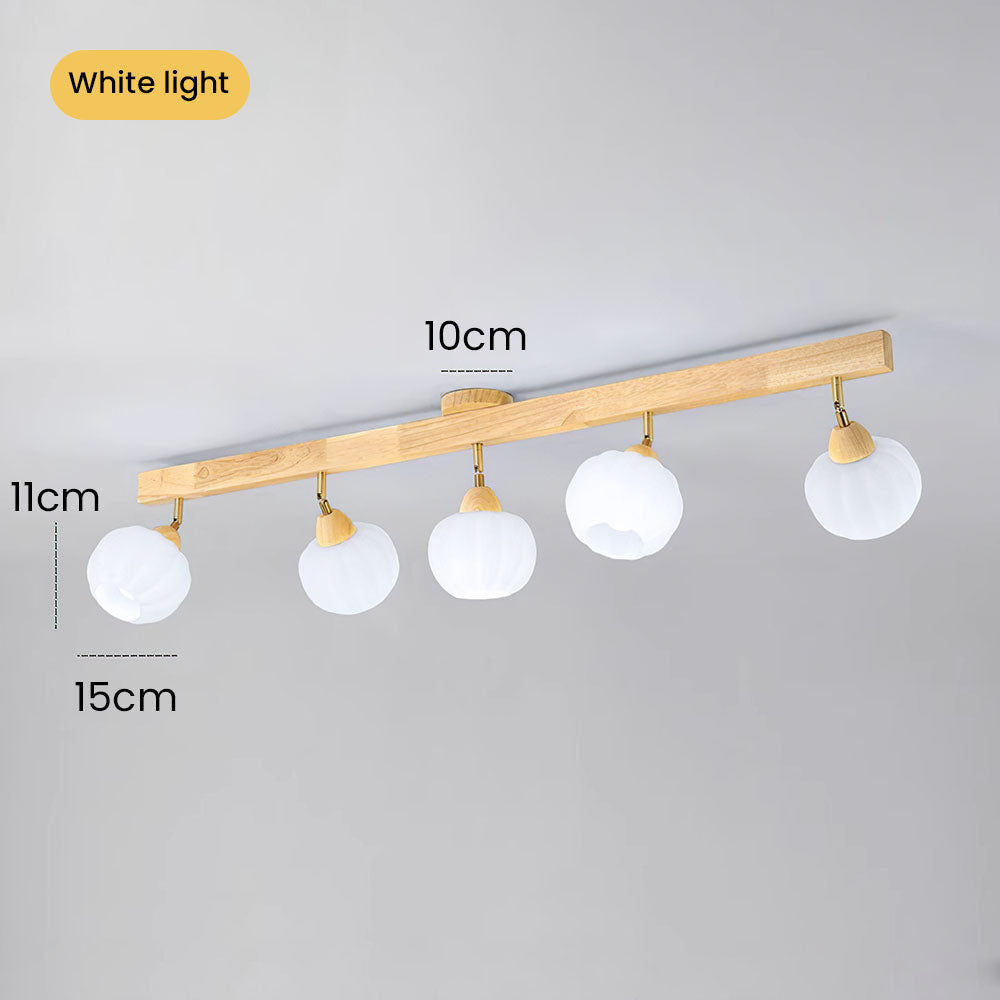 Zarim Ceiling Light