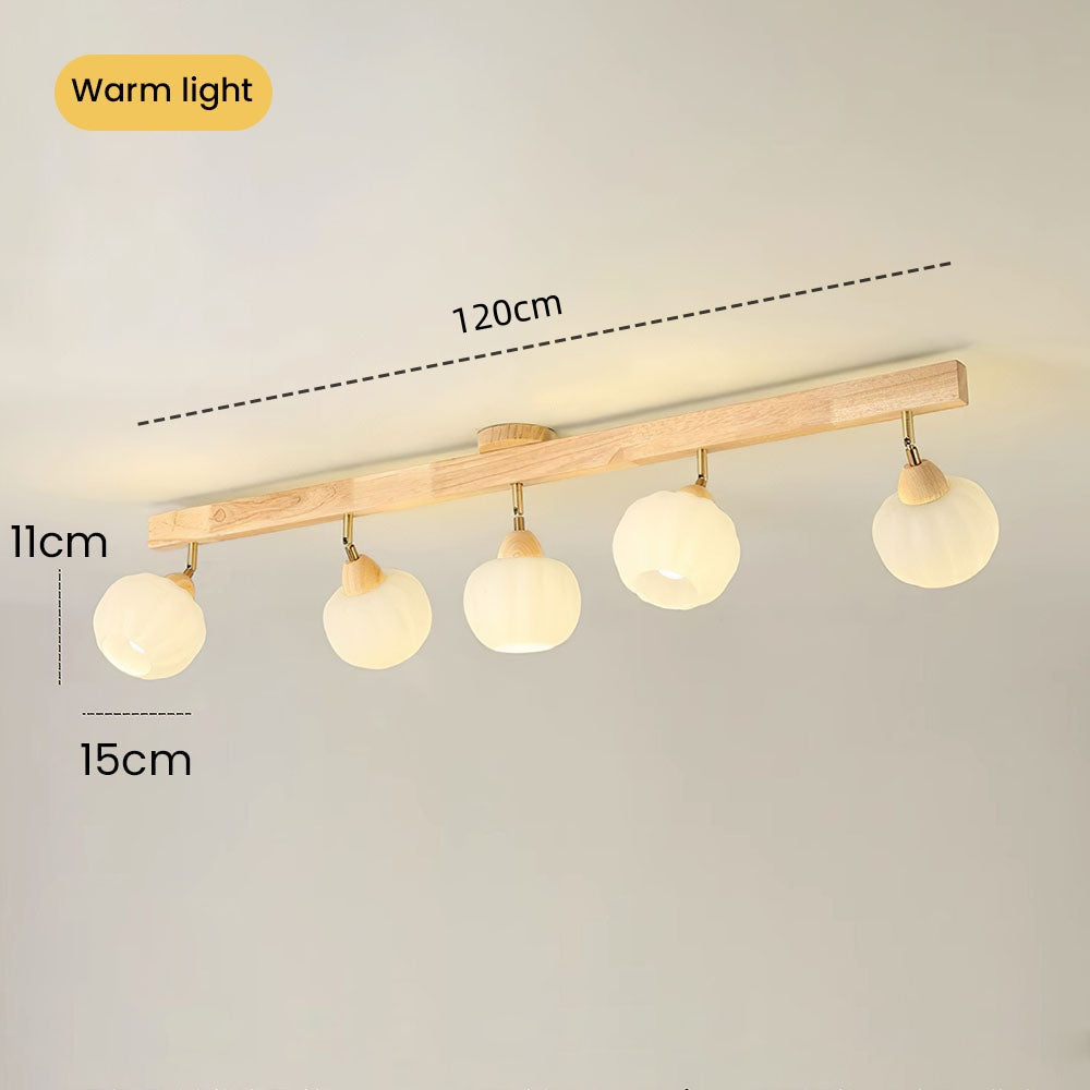 Zarim Ceiling Light