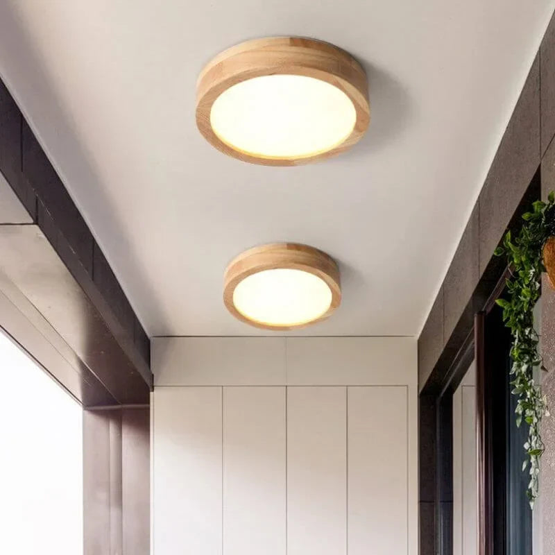 Pelezo Ceiling Light