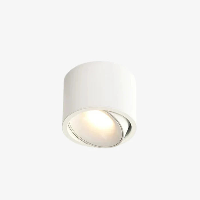 Bamarzo Round Ceiling Light