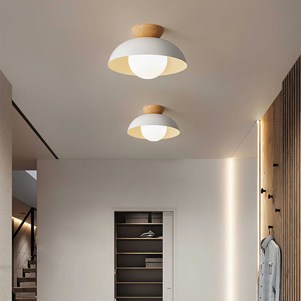 Trenton Ceiling Light