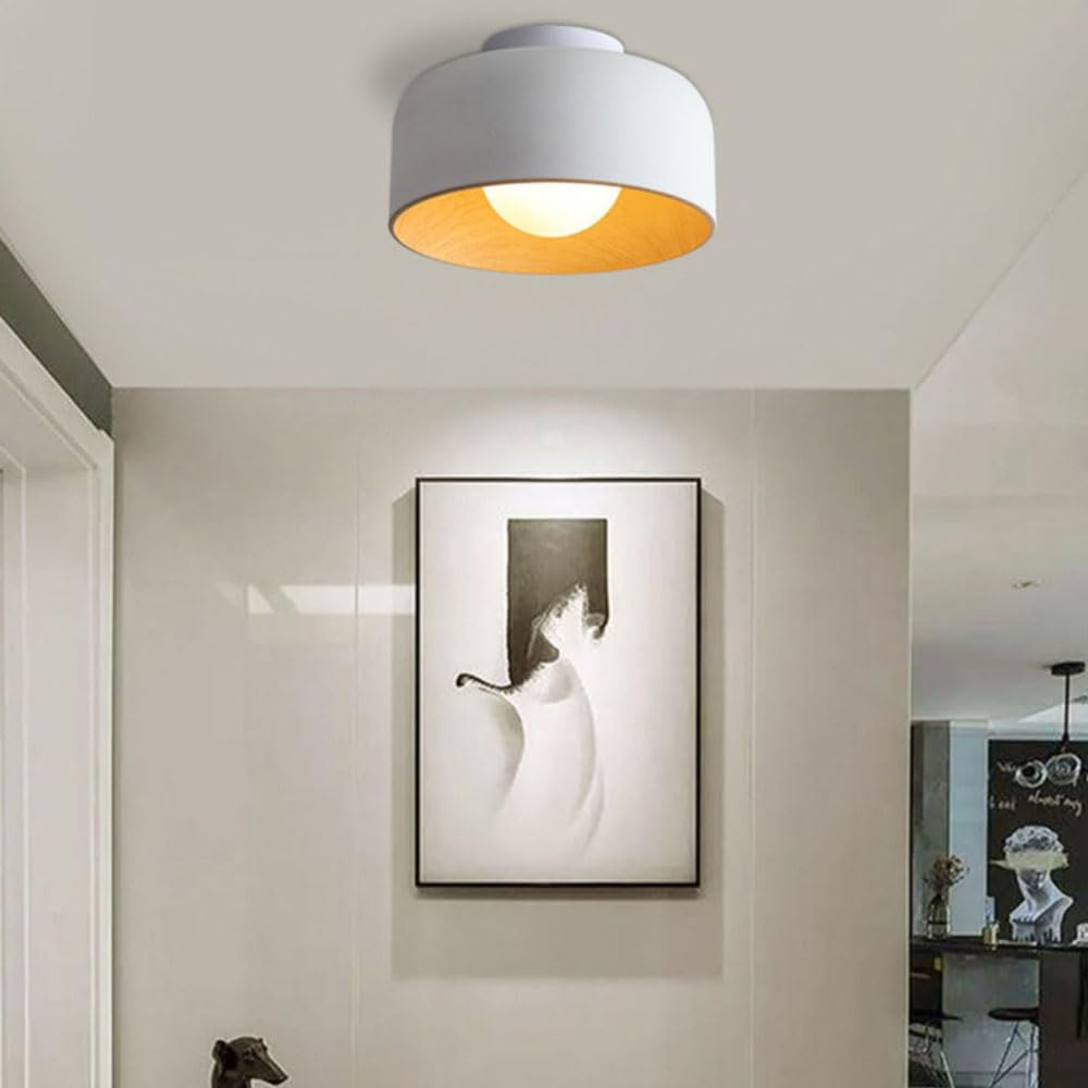 Cudellu Ceiling Light