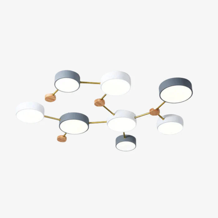 Leboza Minimalist Ceiling Light