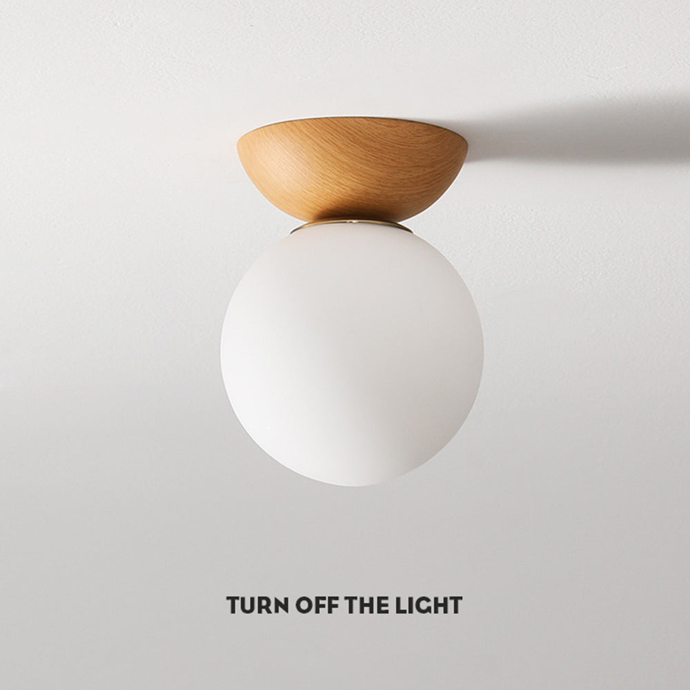 Laira Ceiling Light
