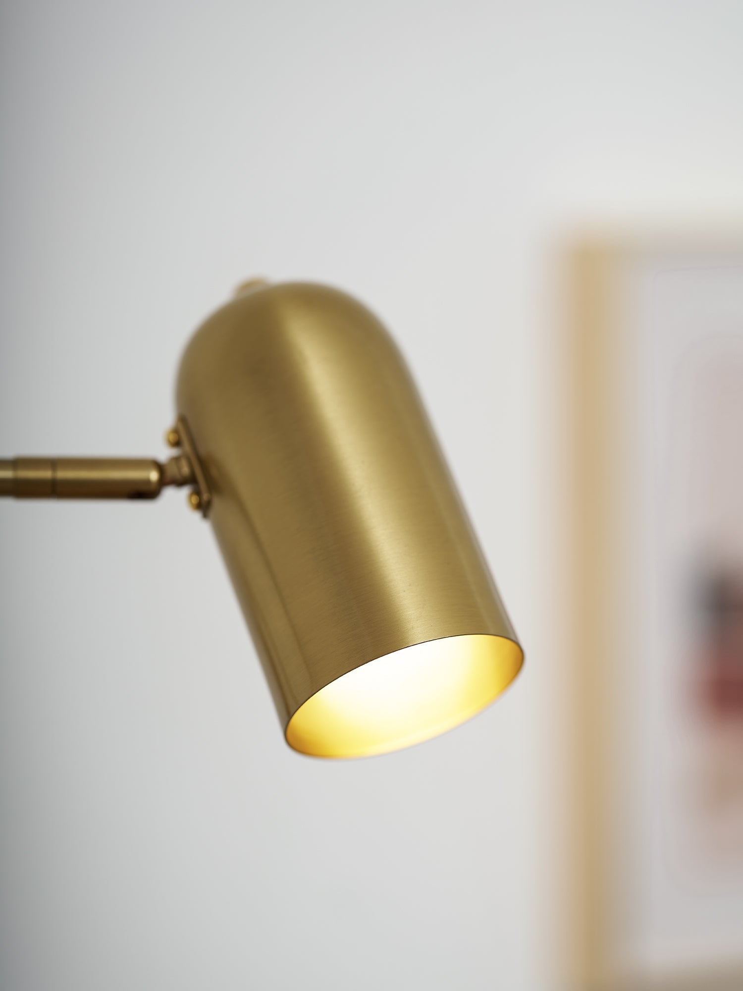 Belonix Adjustable Wall Light