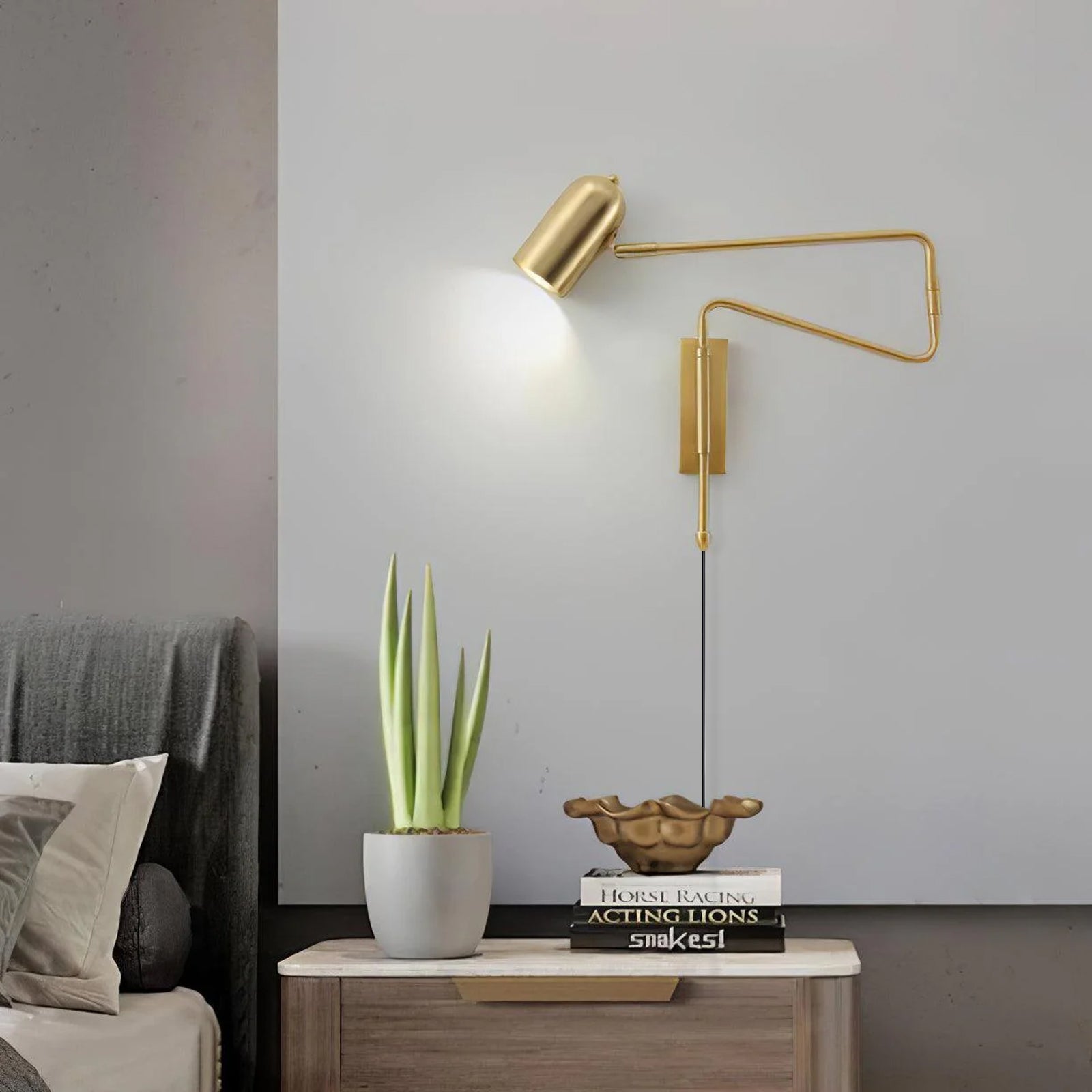 Belonix Adjustable Wall Light