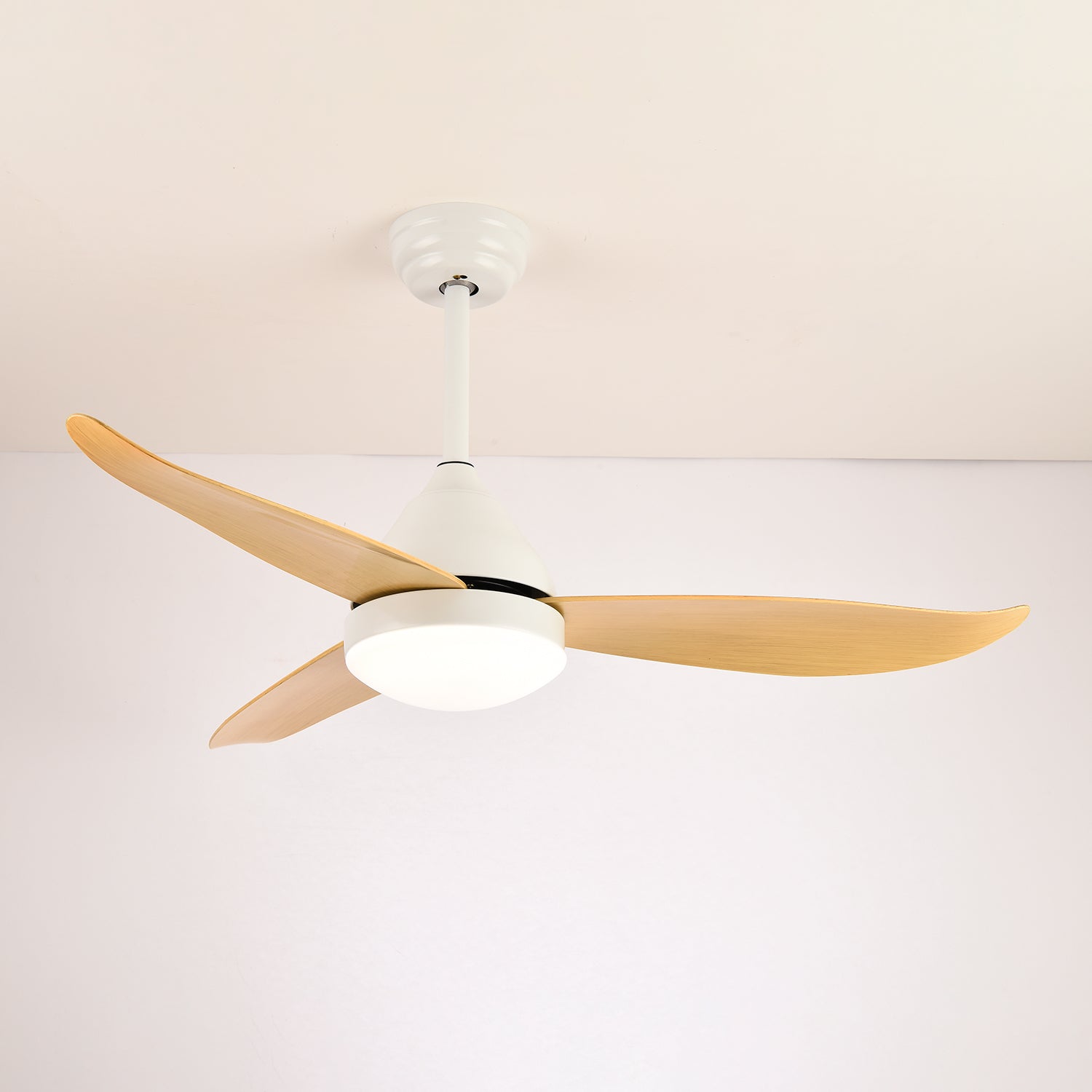 Verroza Ceiling Fan Light