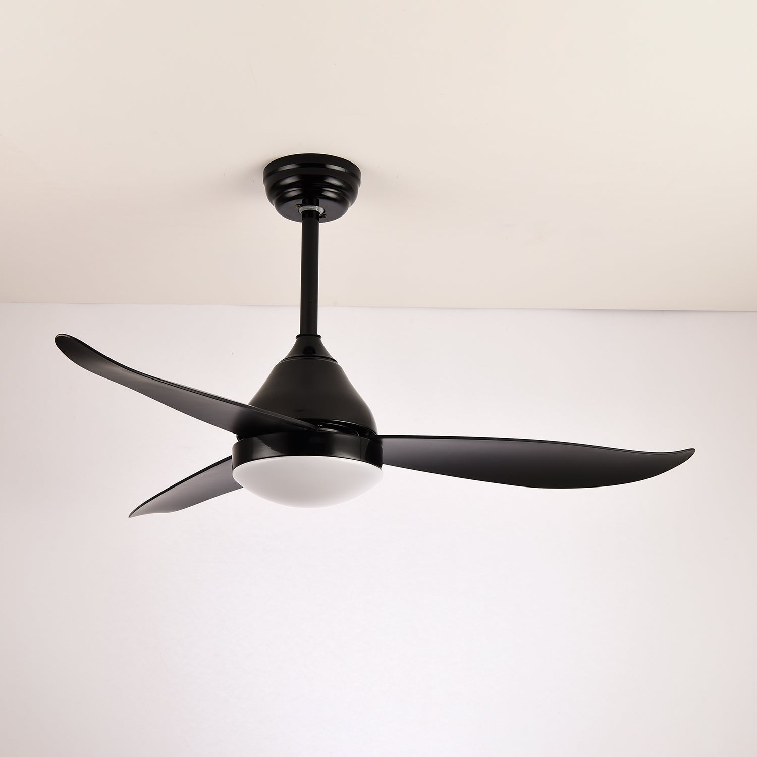 Verroza Ceiling Fan Light