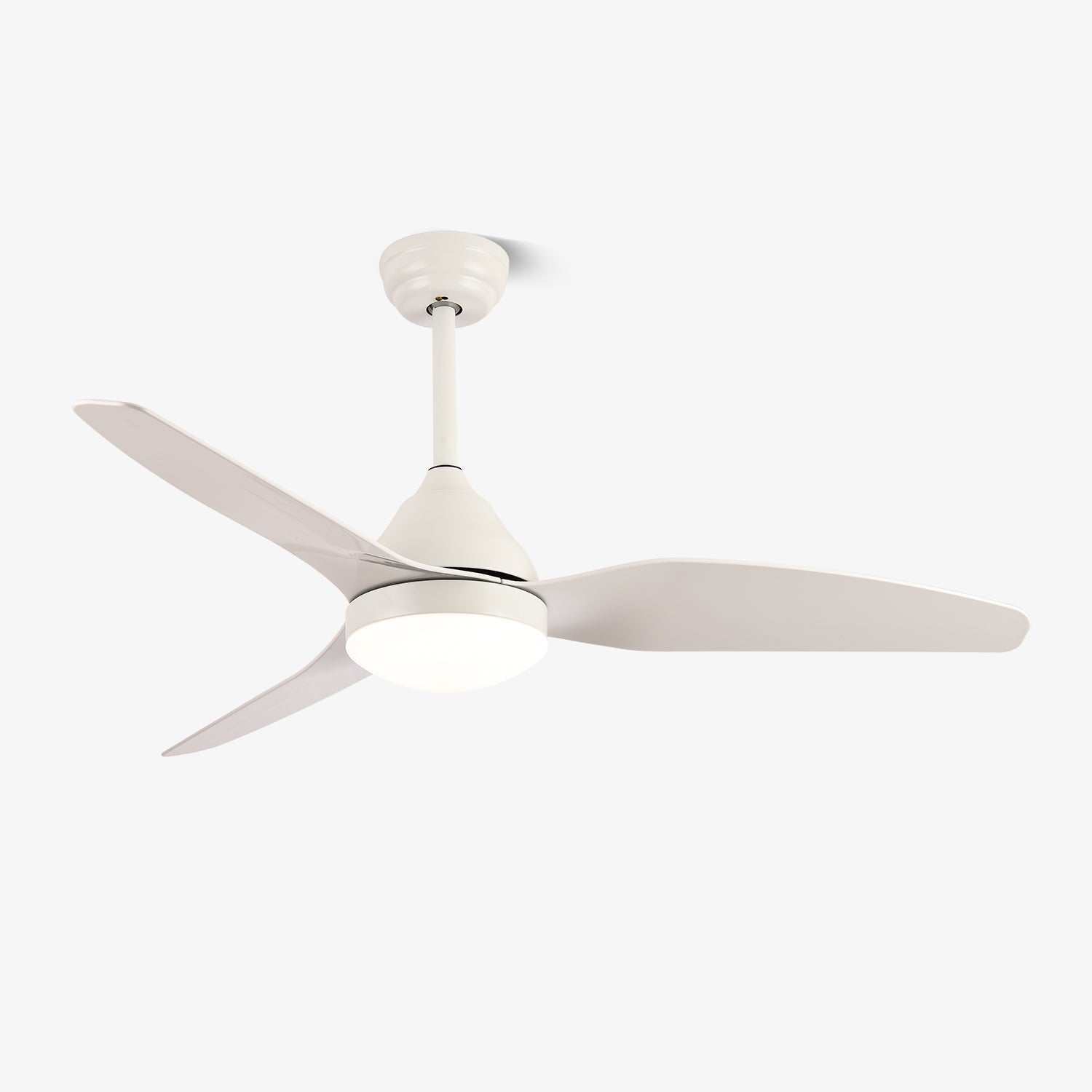 Verroza Ceiling Fan Light