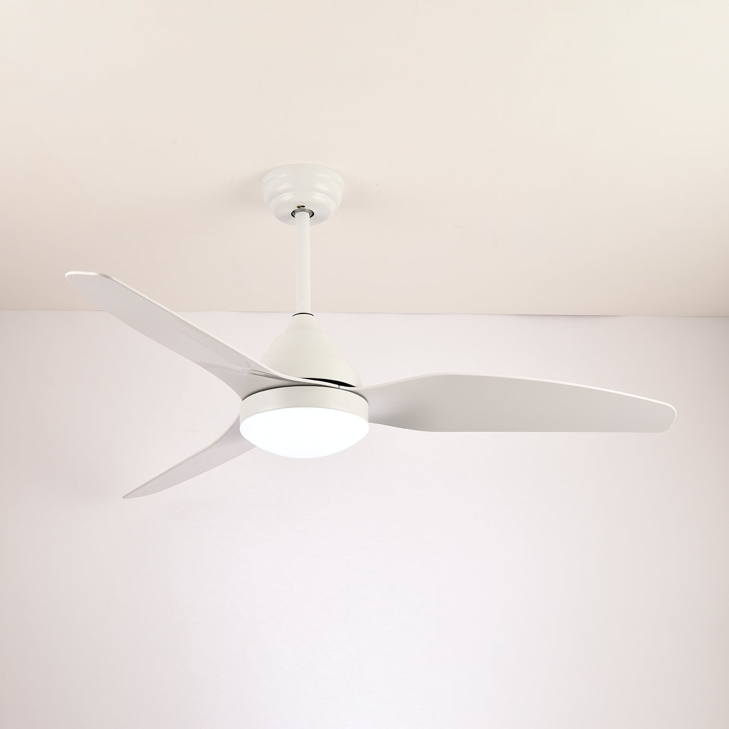 Verroza Ceiling Fan Light