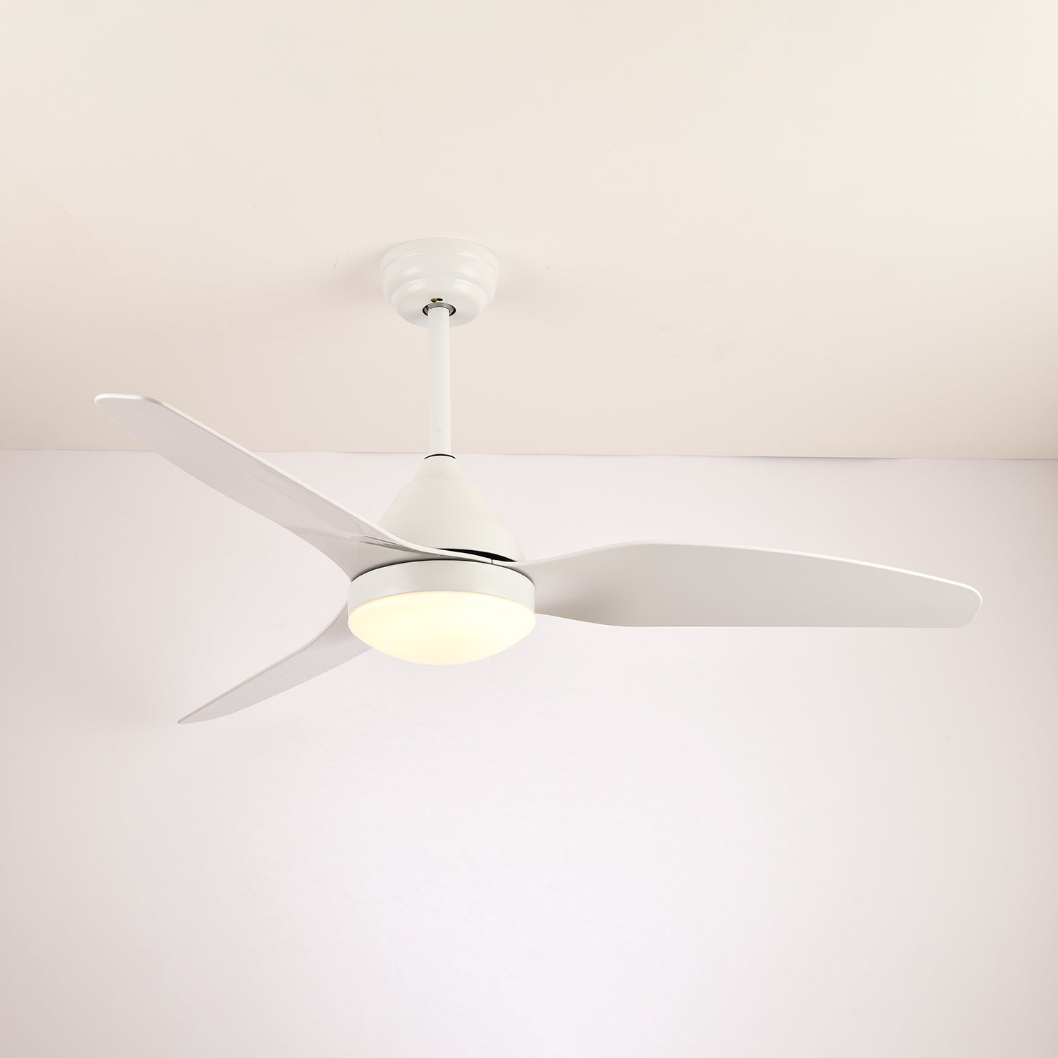 Verroza Ceiling Fan Light