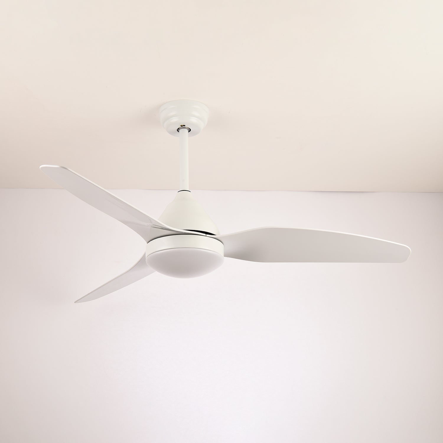 Verroza Ceiling Fan Light