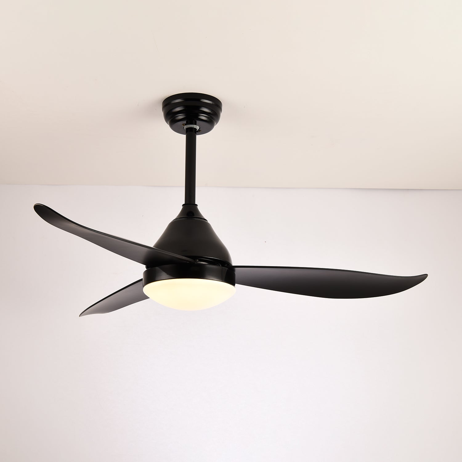 Verroza Ceiling Fan Light