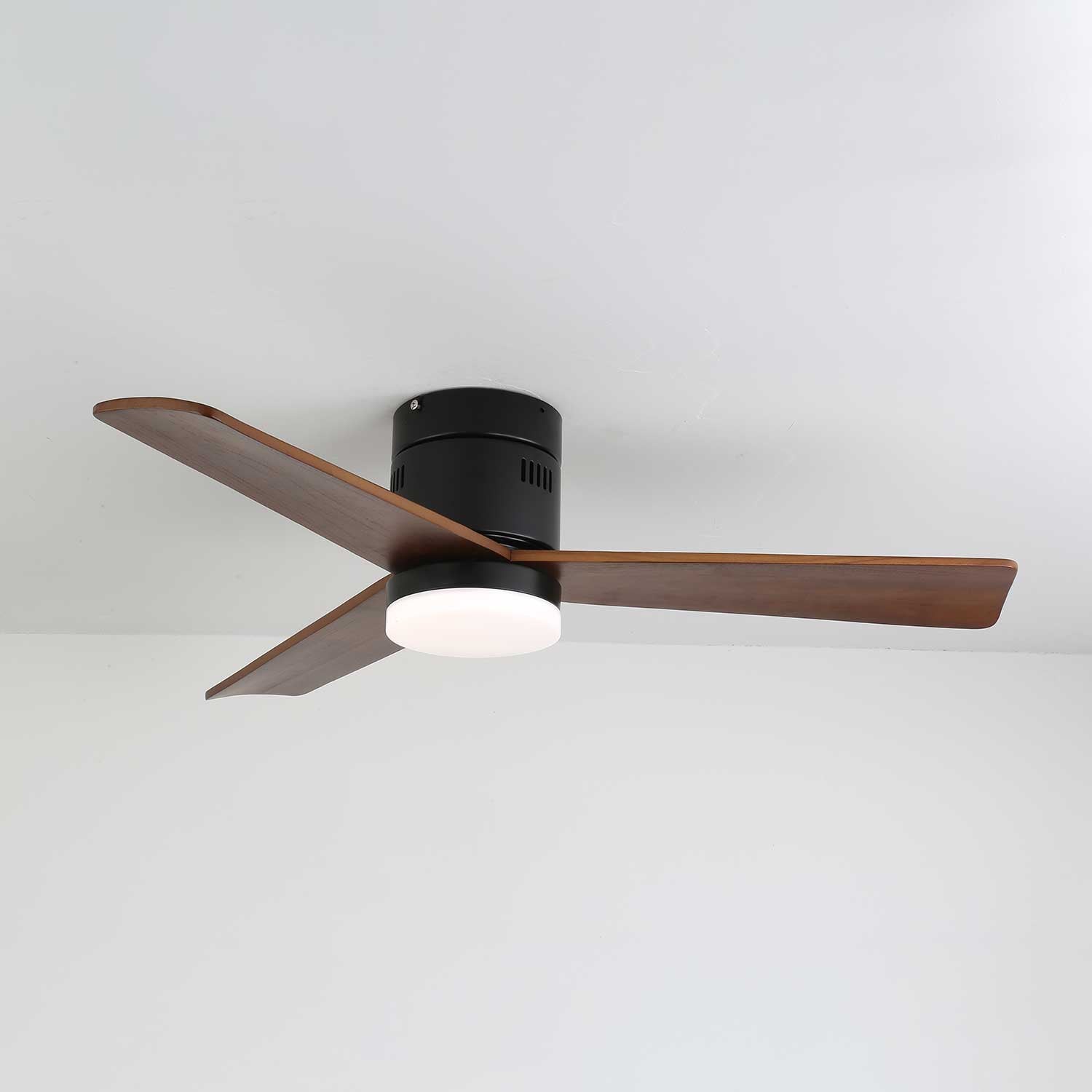 Lorenna Modern Ceiling Fan Light
