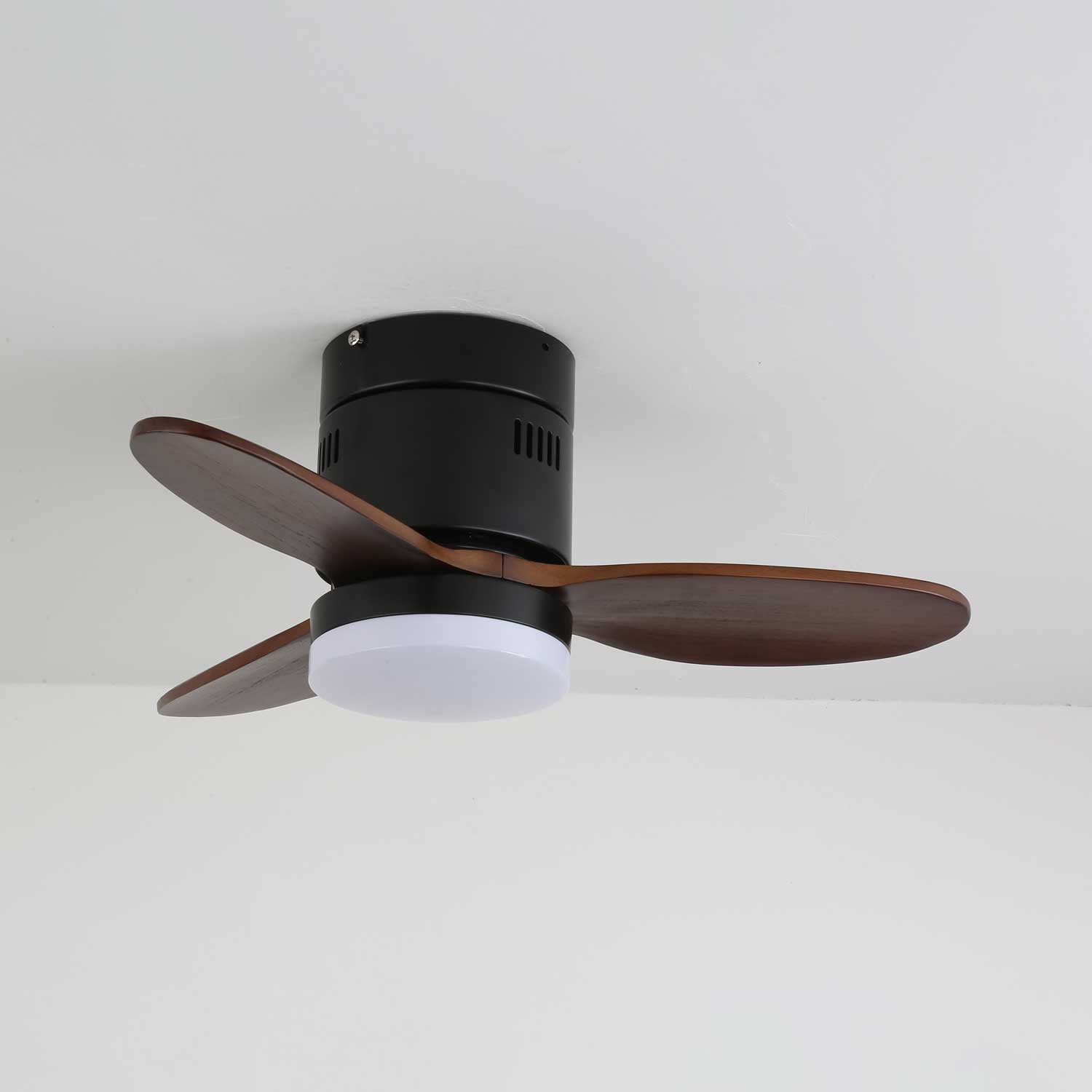 Lorenna Modern Ceiling Fan Light