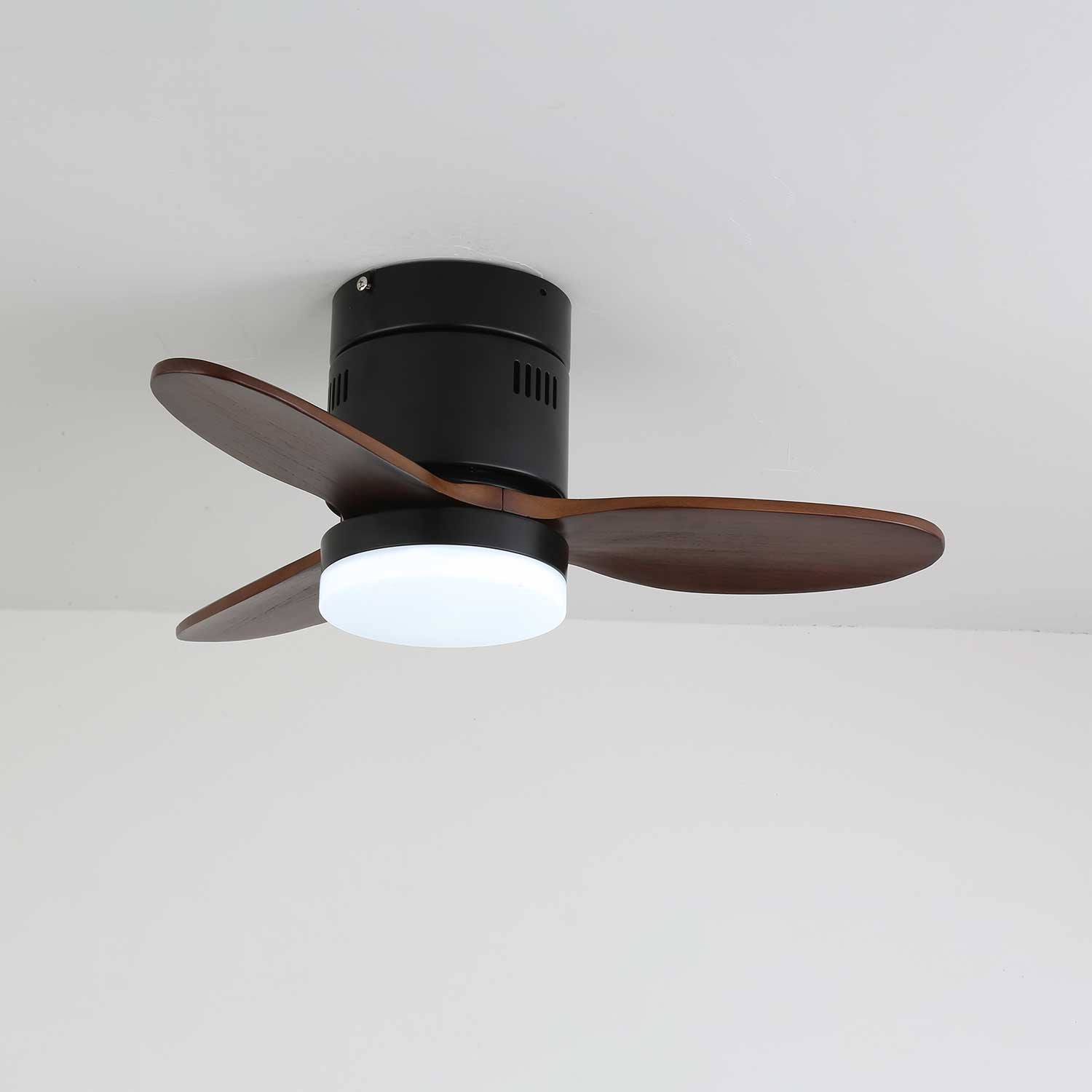Lorenna Modern Ceiling Fan Light