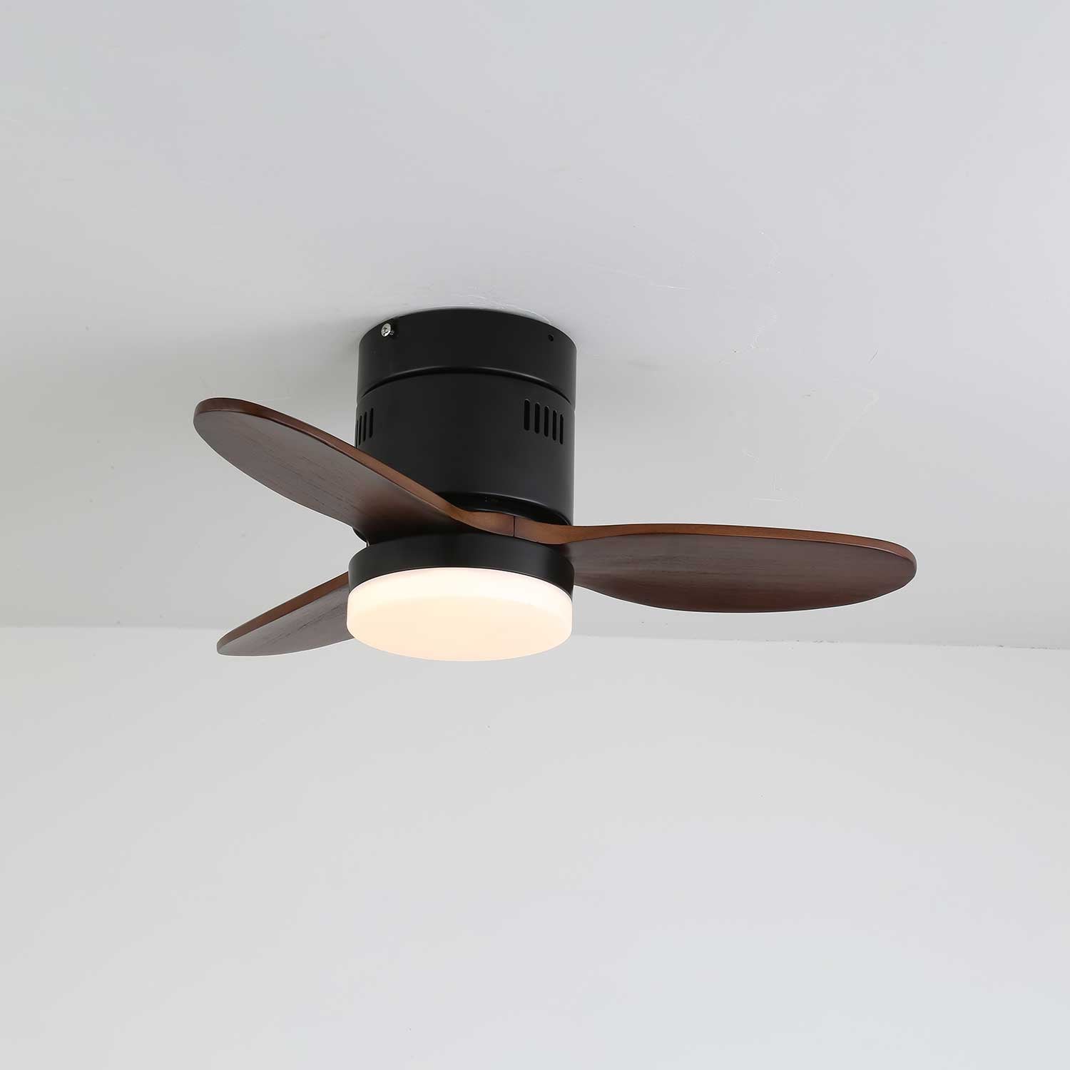 Lorenna Modern Ceiling Fan Light