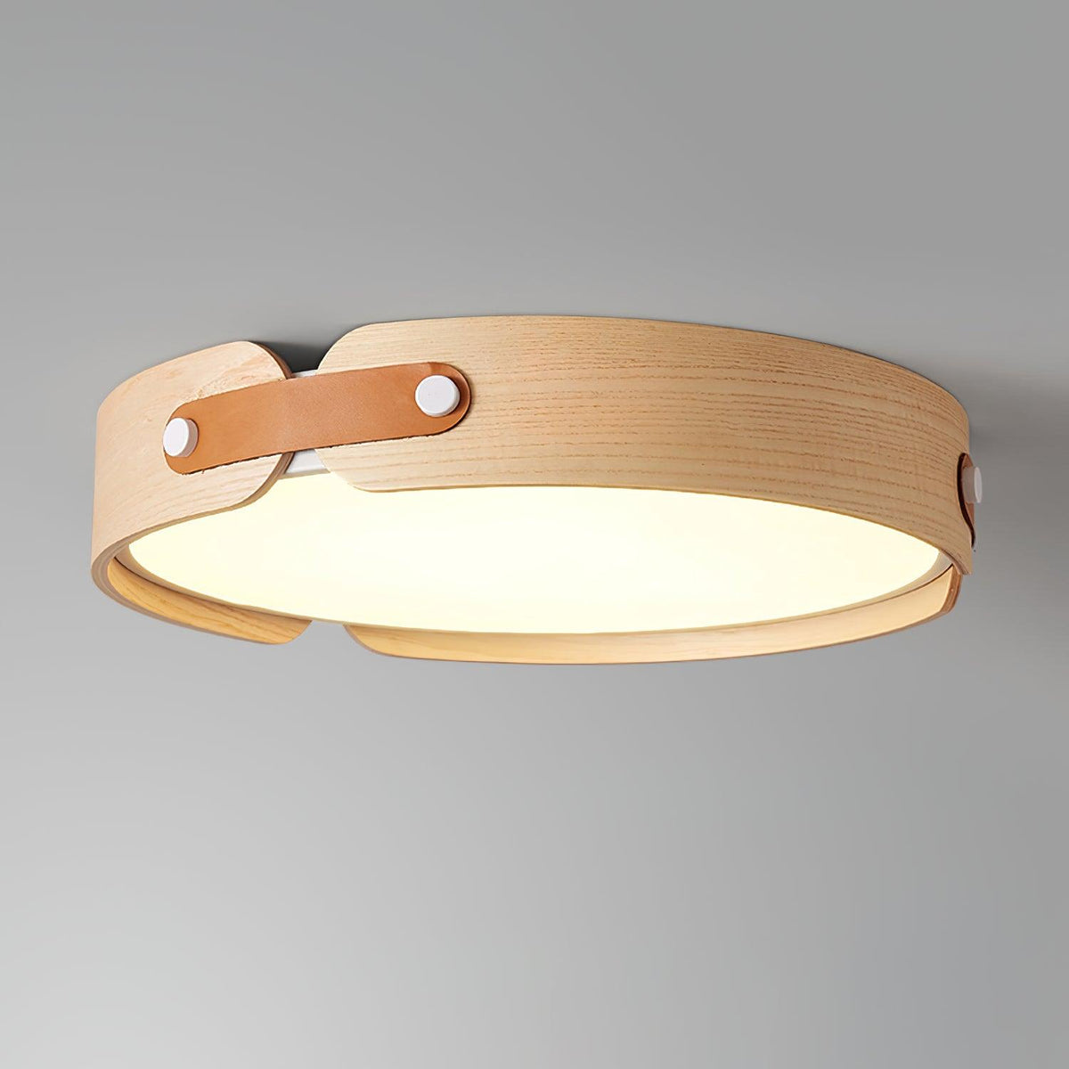 Bexe Outdoor Ceiling Light