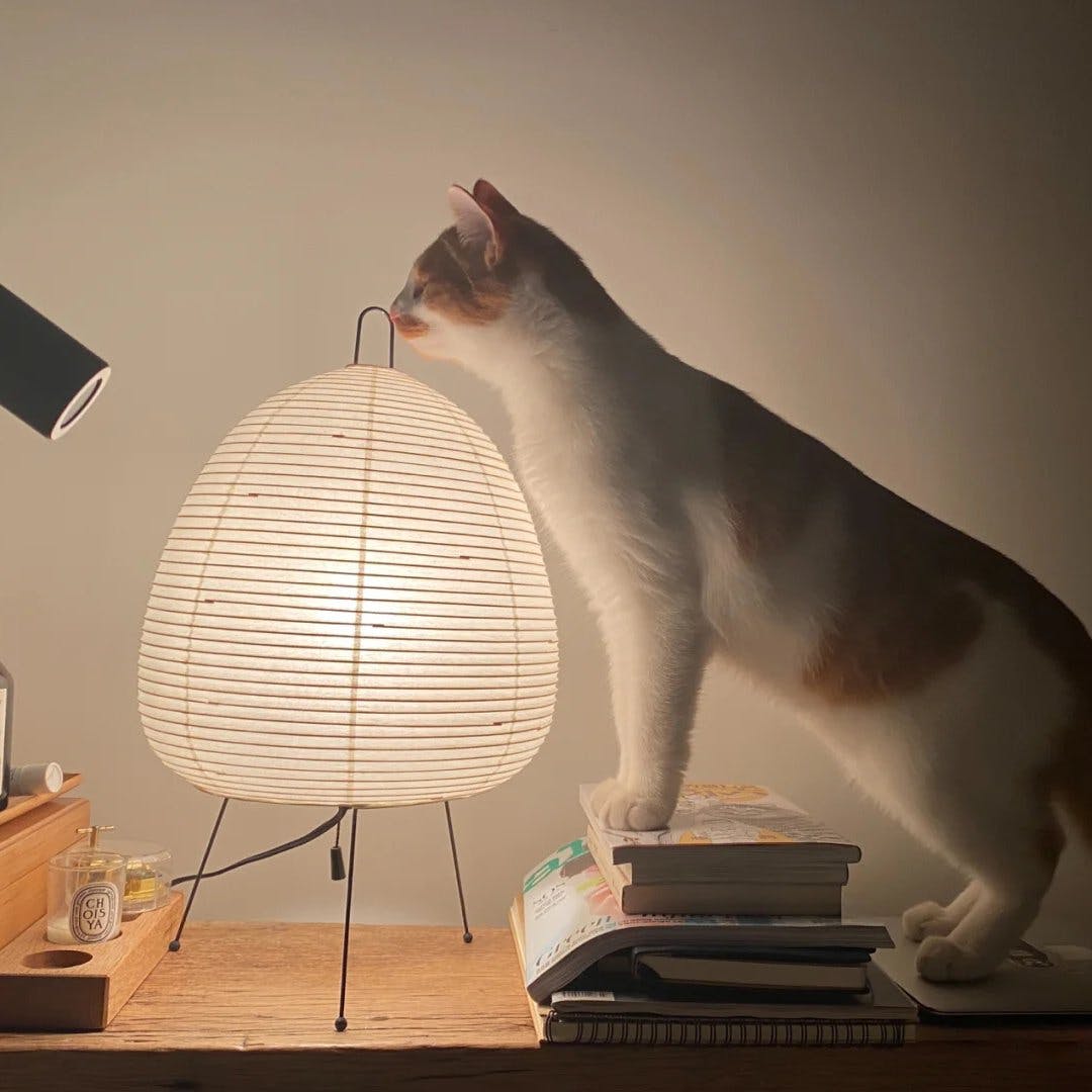 Sotora Table Lamp