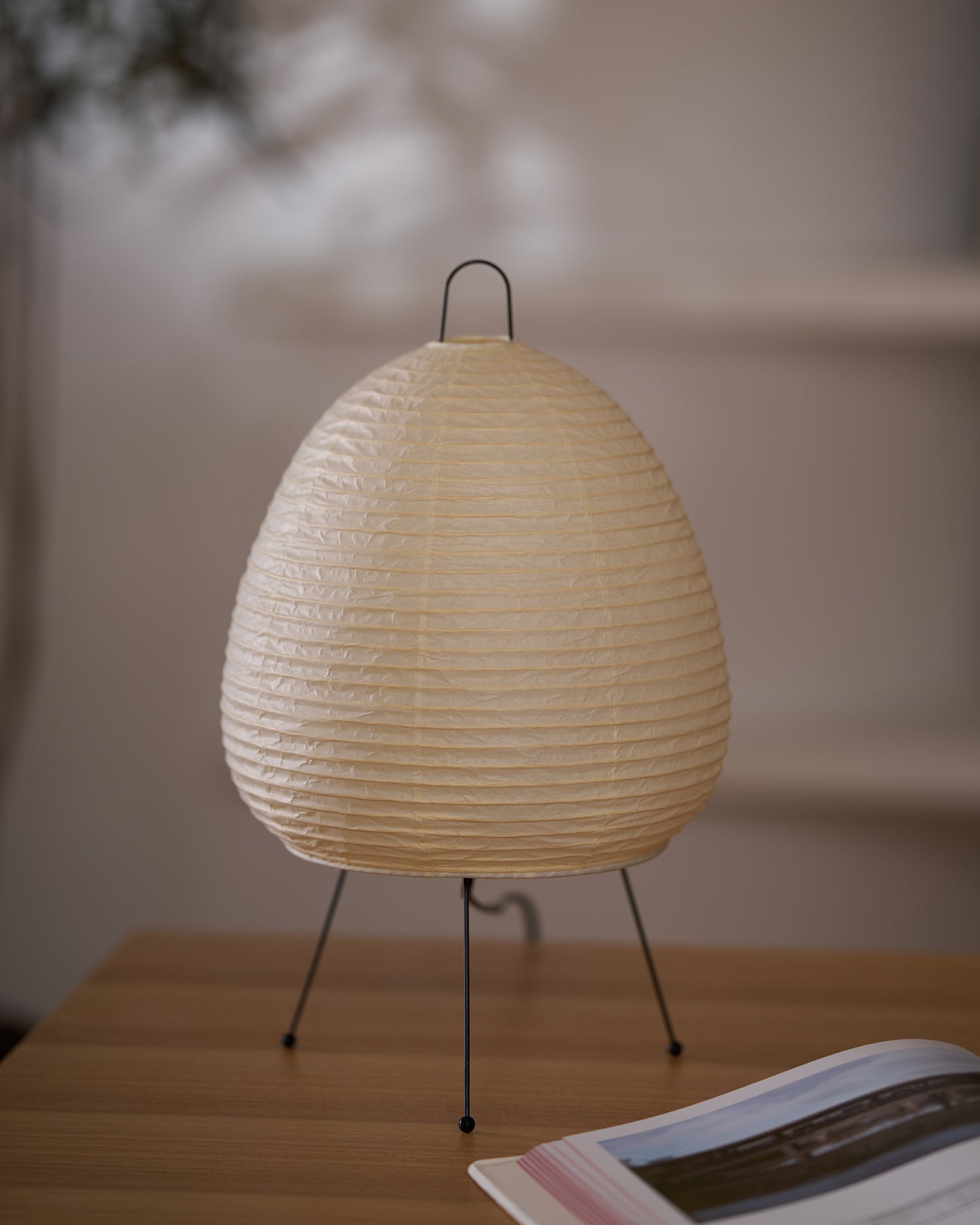 Allenla Lantern Table Lamp