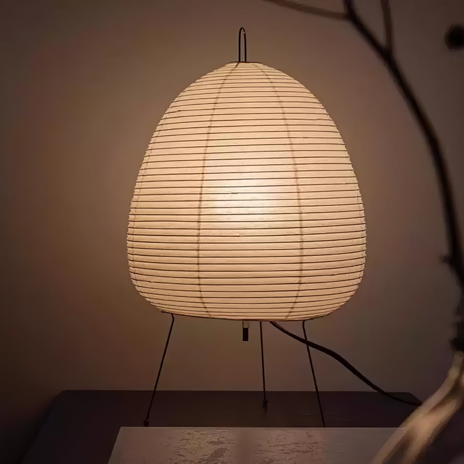 Allenla Lantern Table Lamp