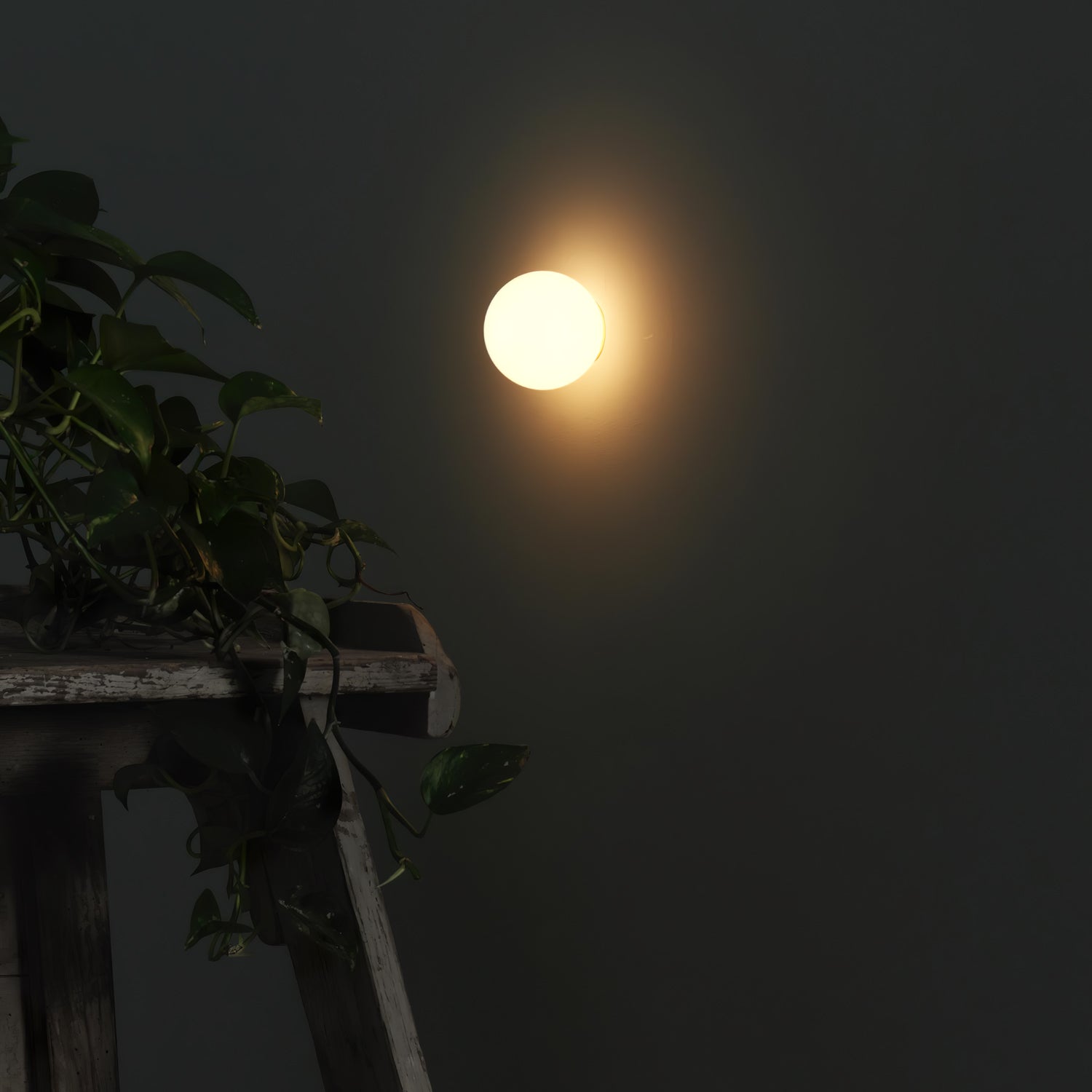 Viroa Wall Light