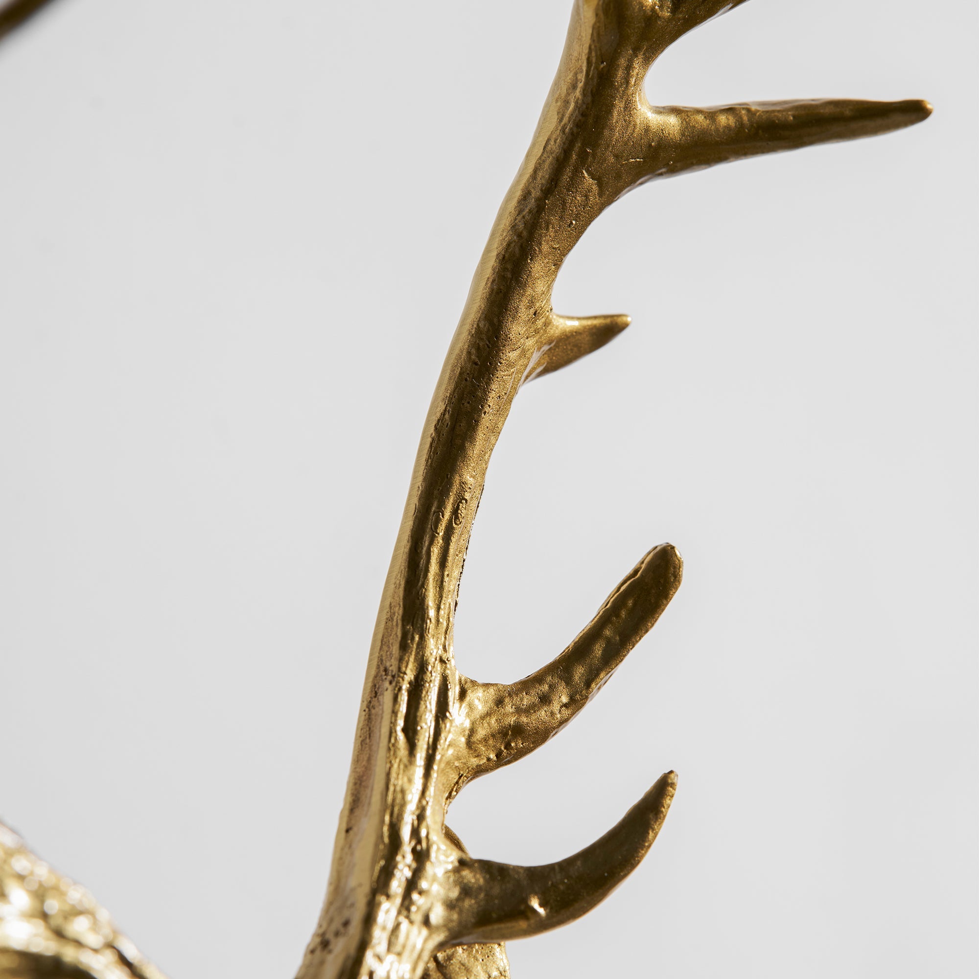 Gesenor Sculptural Wall Light