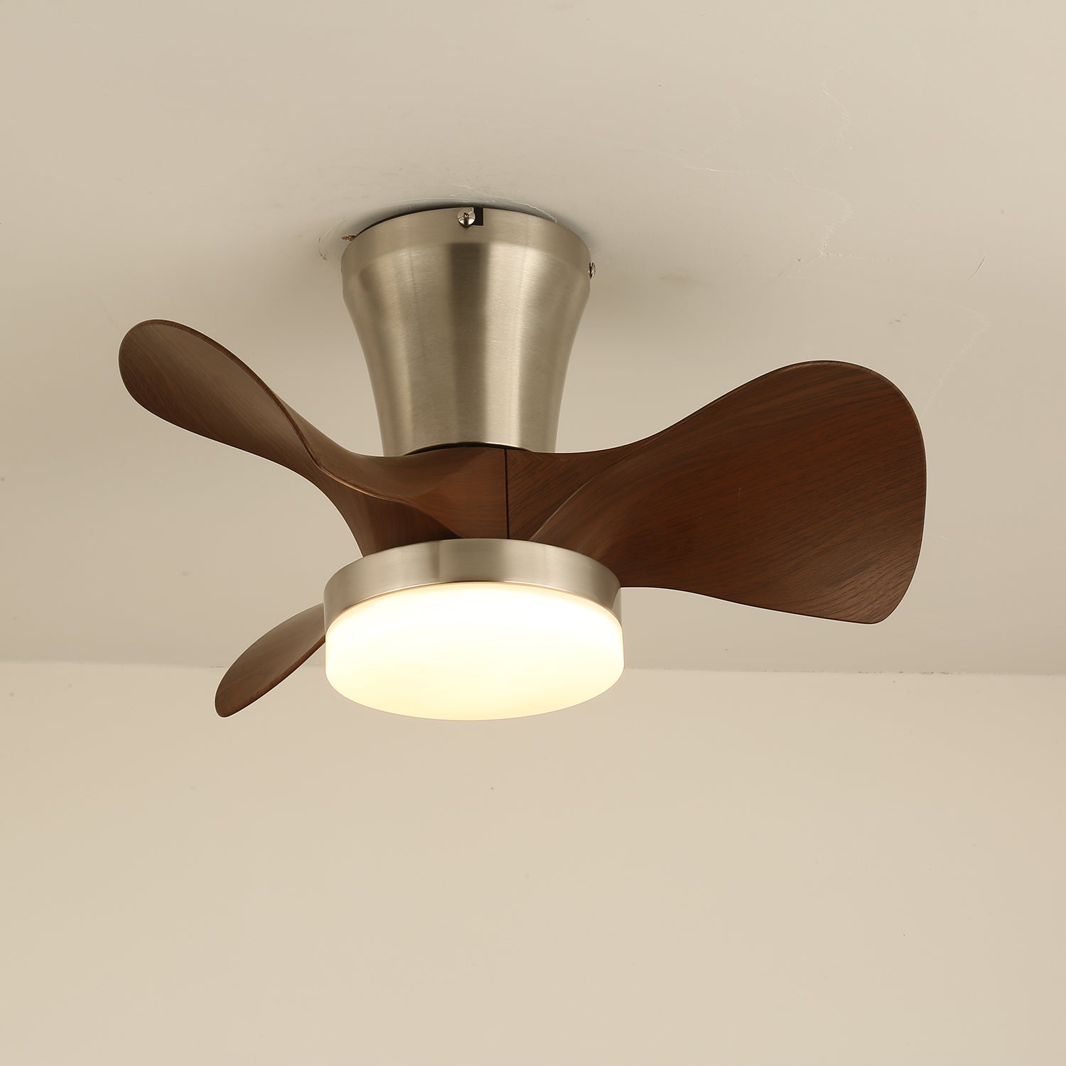 Velera Ceiling Fan Light