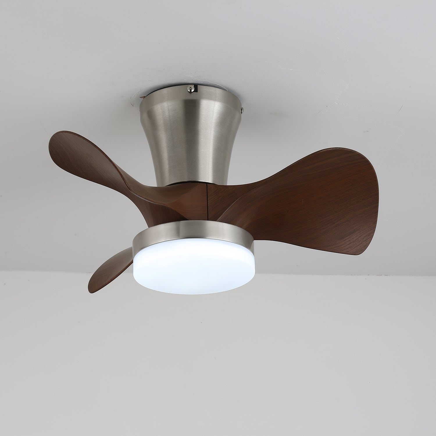 Velera Ceiling Fan Light