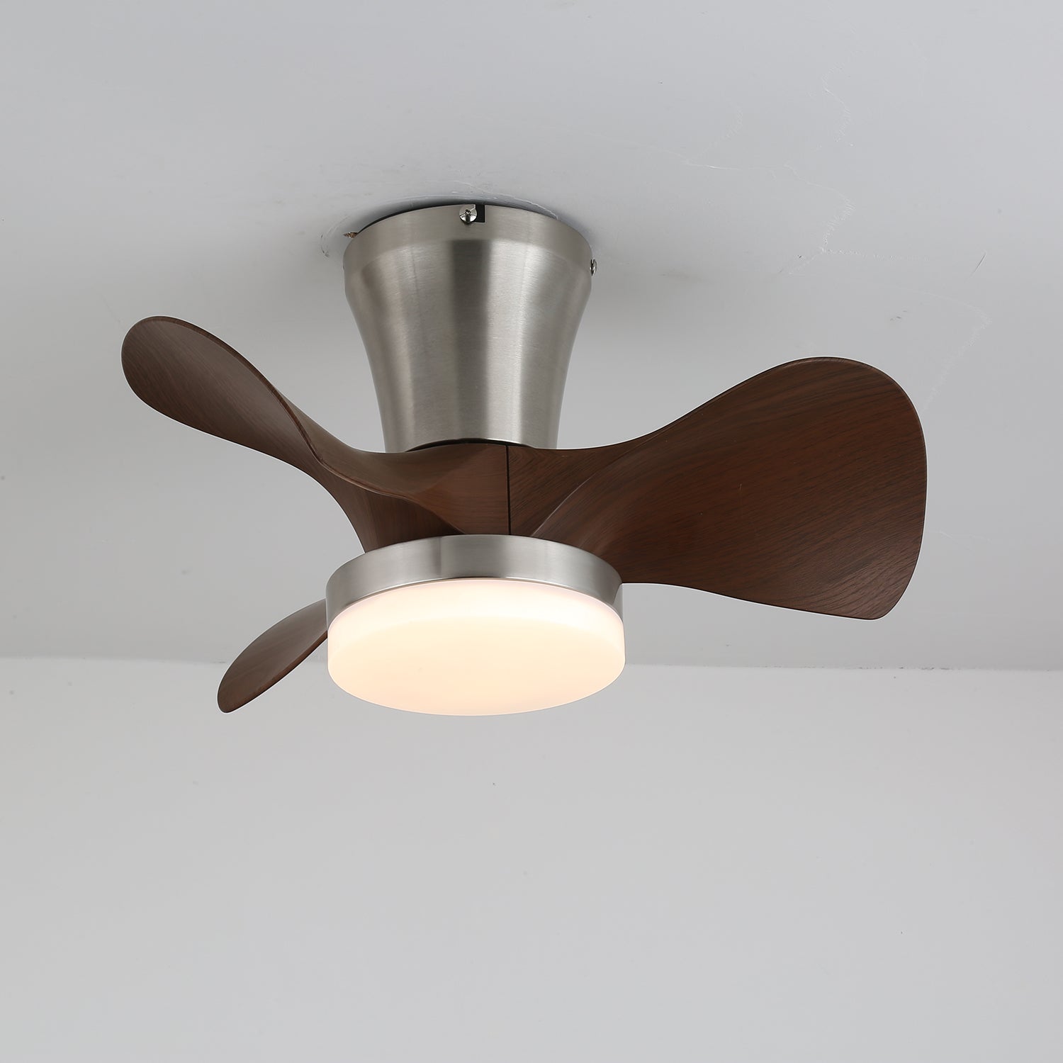 Velera Ceiling Fan Light