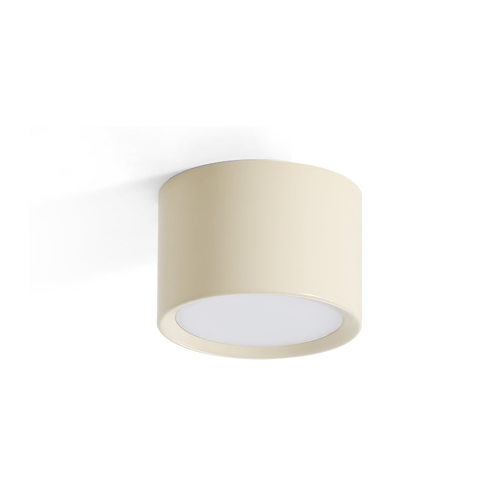 Inau Minimalist Ceiling Light