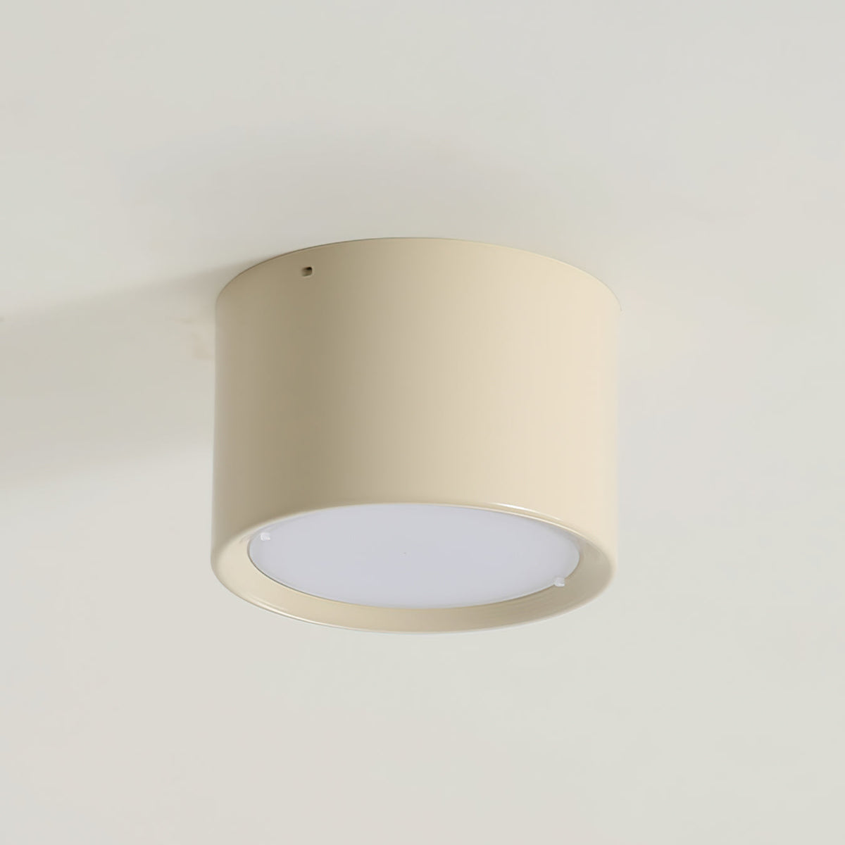 Inau Minimalist Ceiling Light