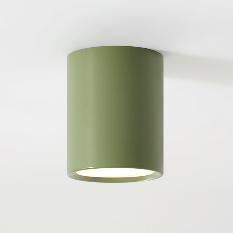 Inau Minimalist Ceiling Light