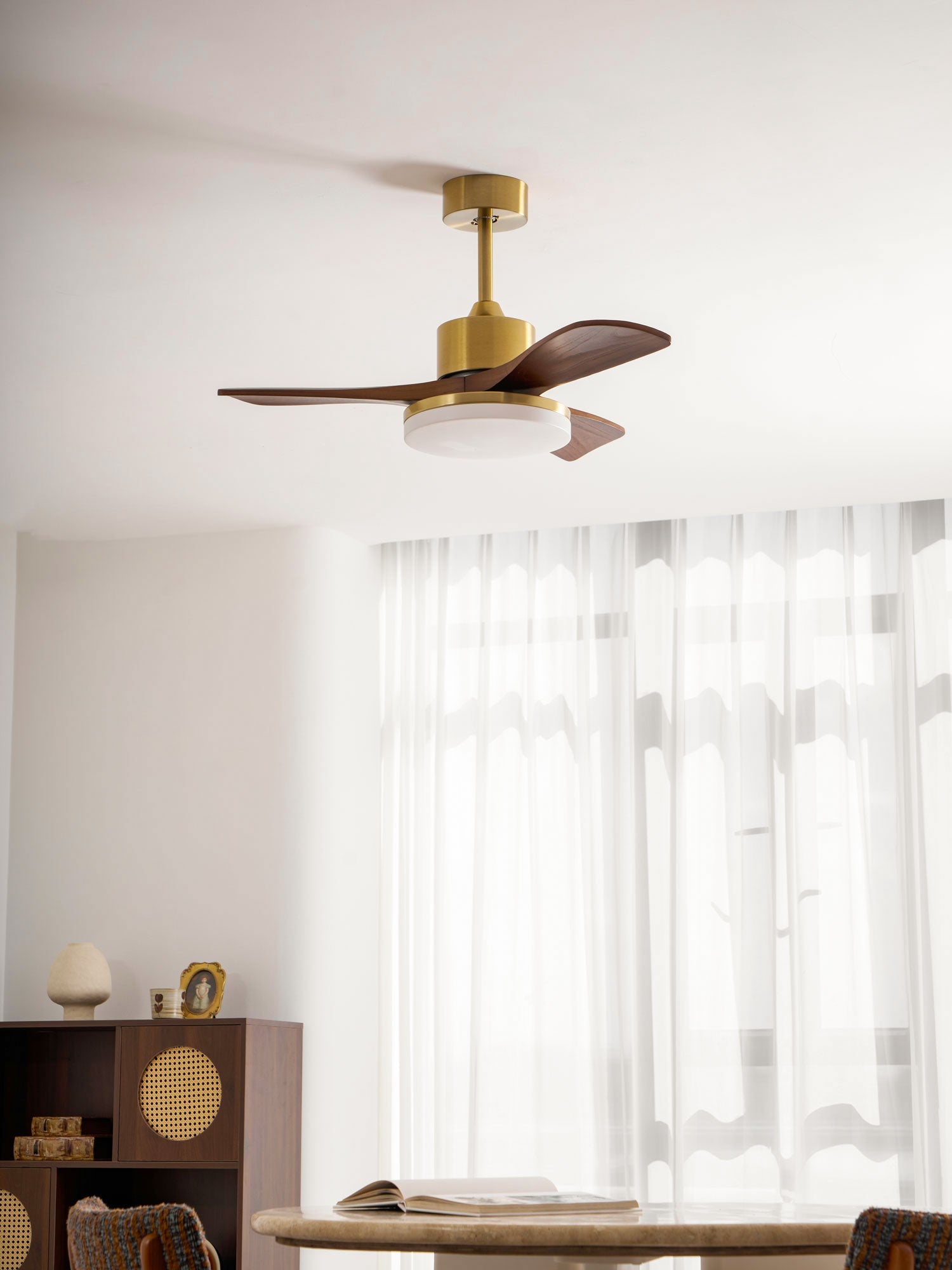 Eloria Ceiling Fan Light