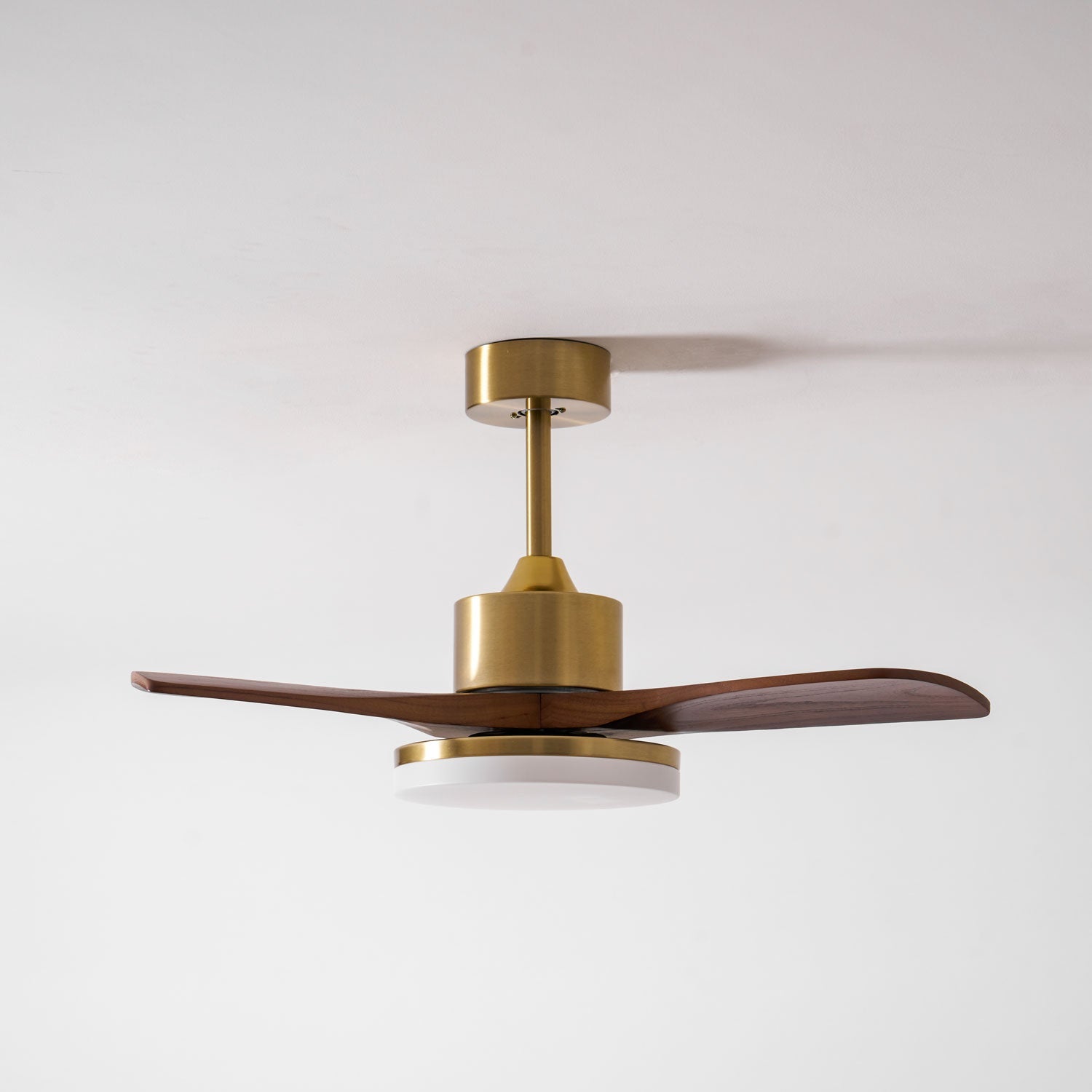 Eloria Ceiling Fan Light