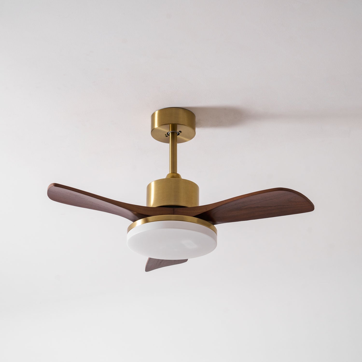 Eloria Ceiling Fan Light