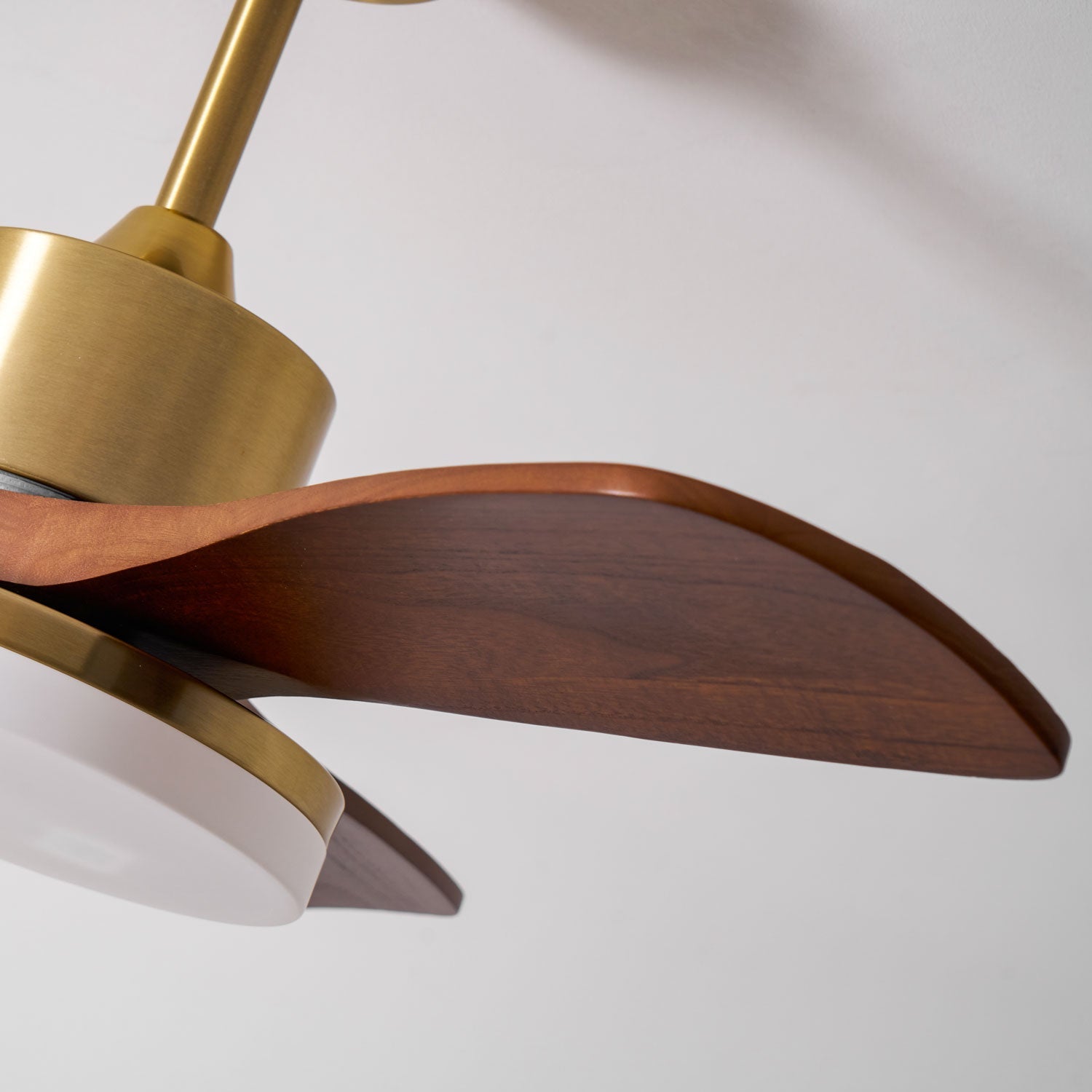 Eloria Ceiling Fan Light