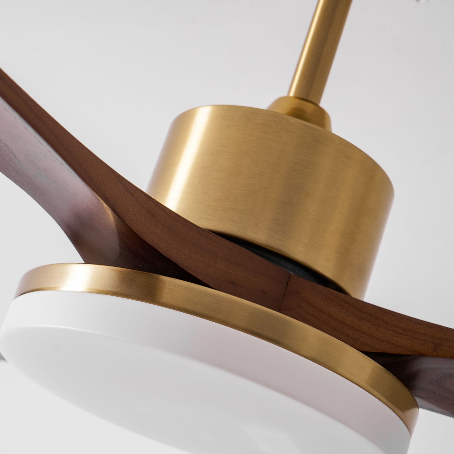 Eloria Ceiling Fan Light