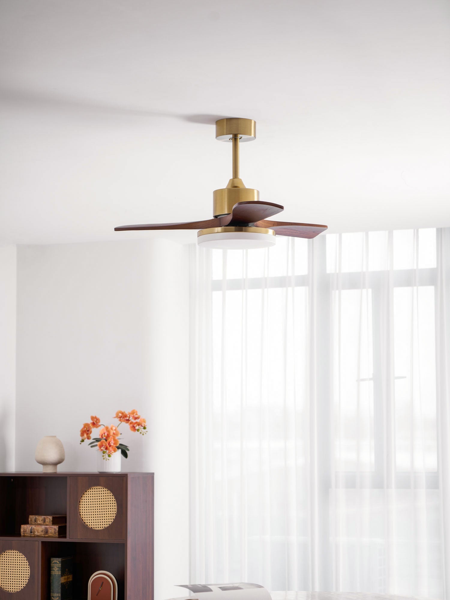 Eloria Ceiling Fan Light