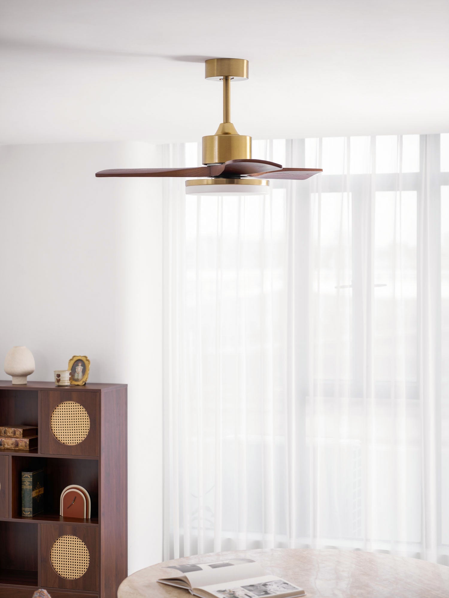 Eloria Ceiling Fan Light