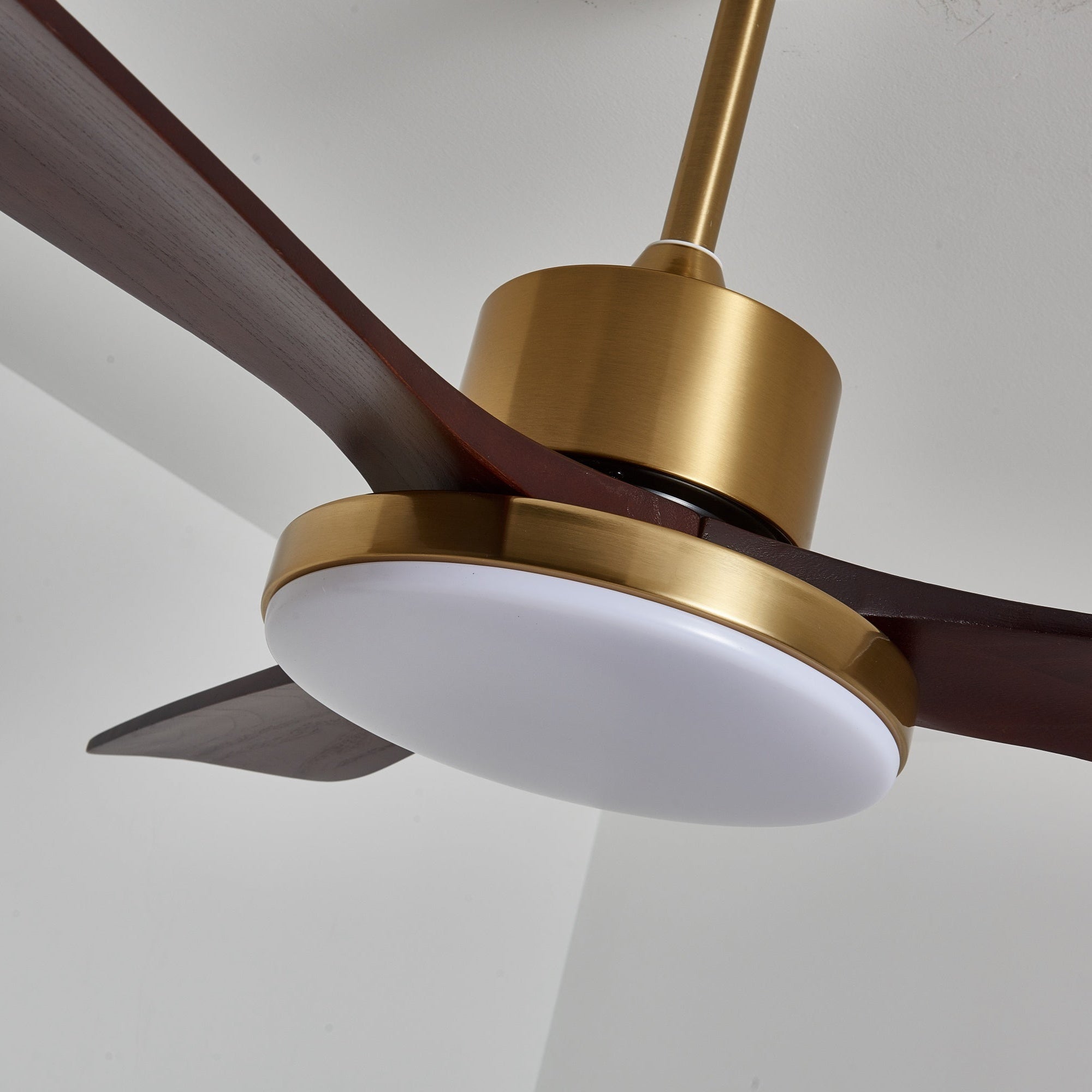 Eloria Ceiling Fan Light