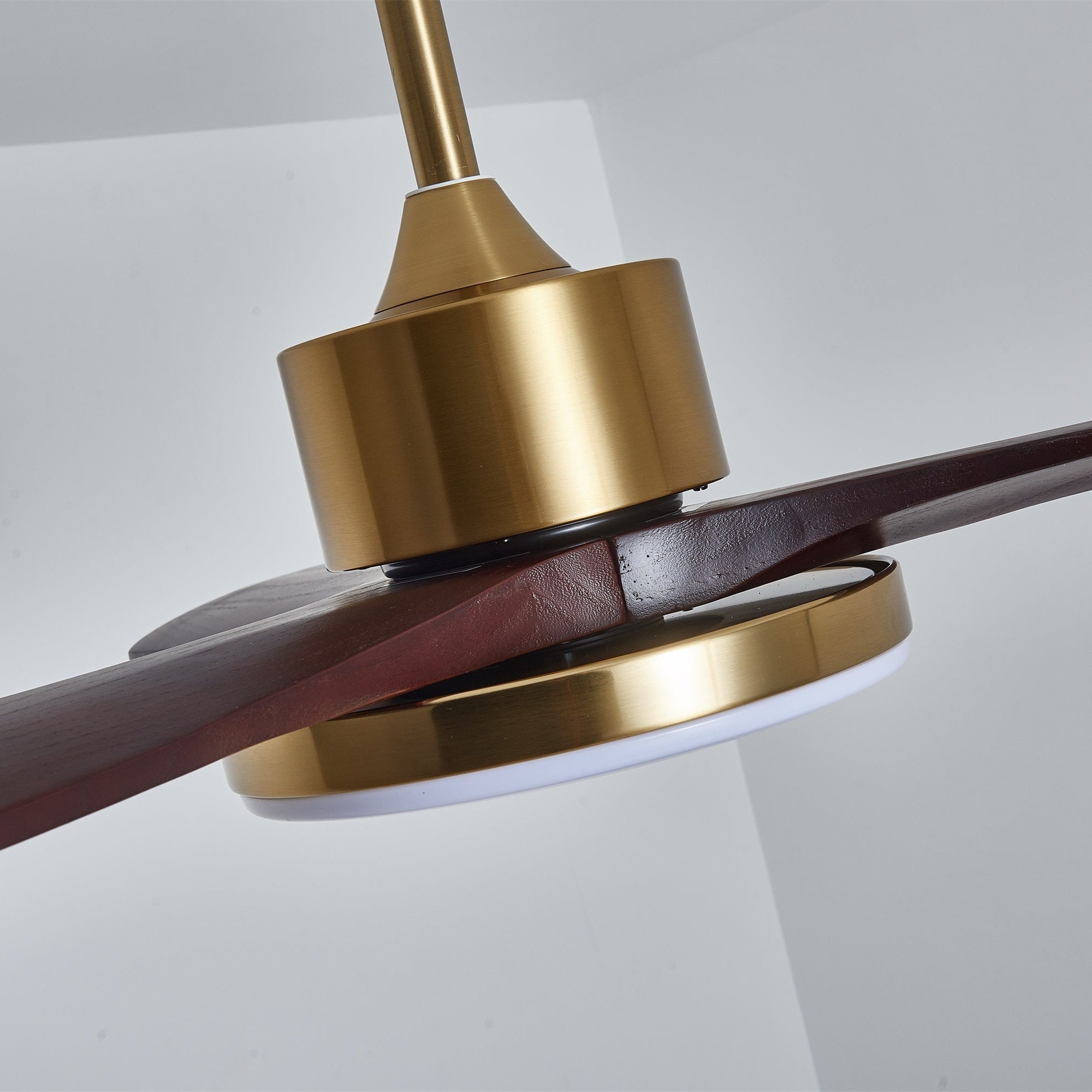 Eloria Ceiling Fan Light