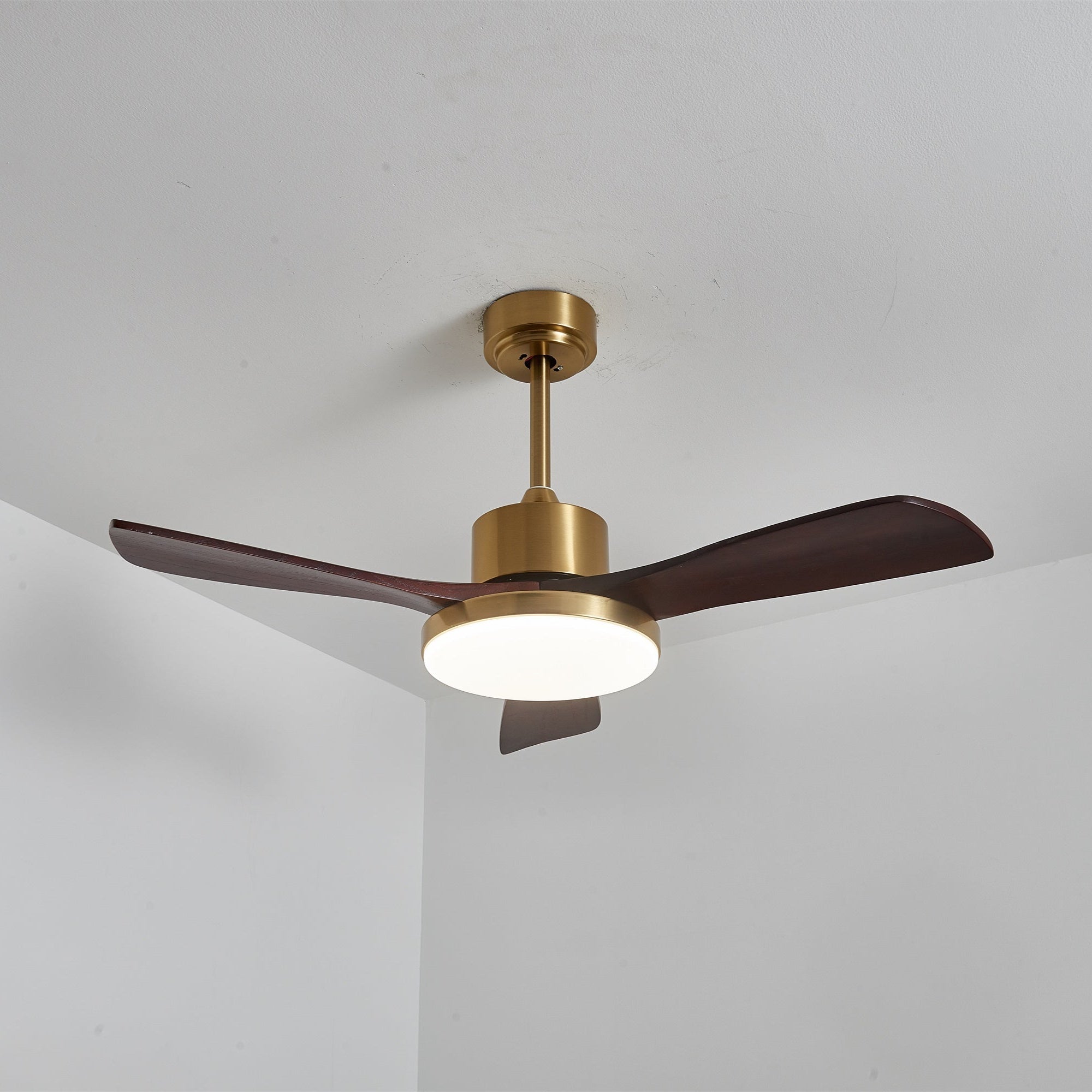 Eloria Ceiling Fan Light