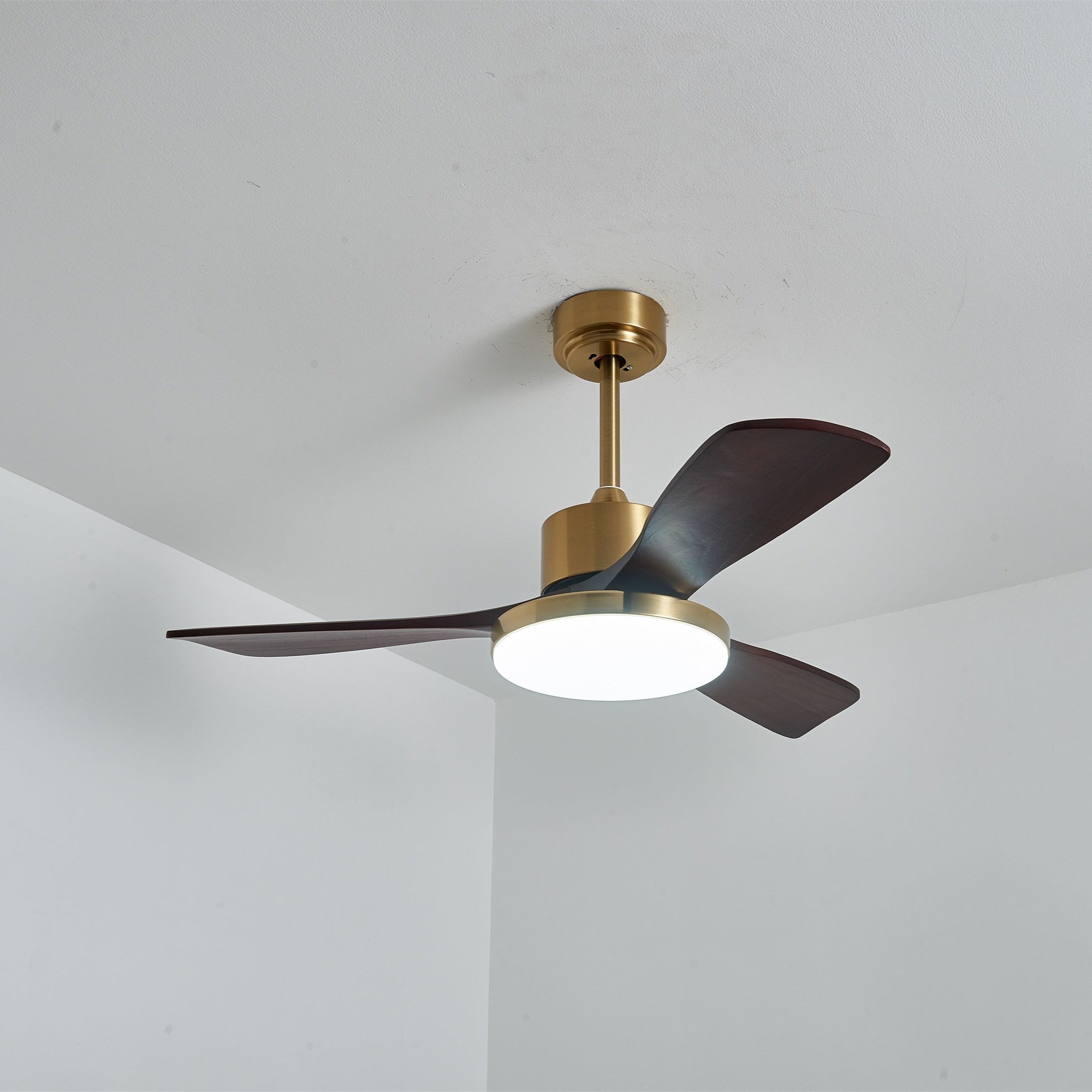 Eloria Ceiling Fan Light