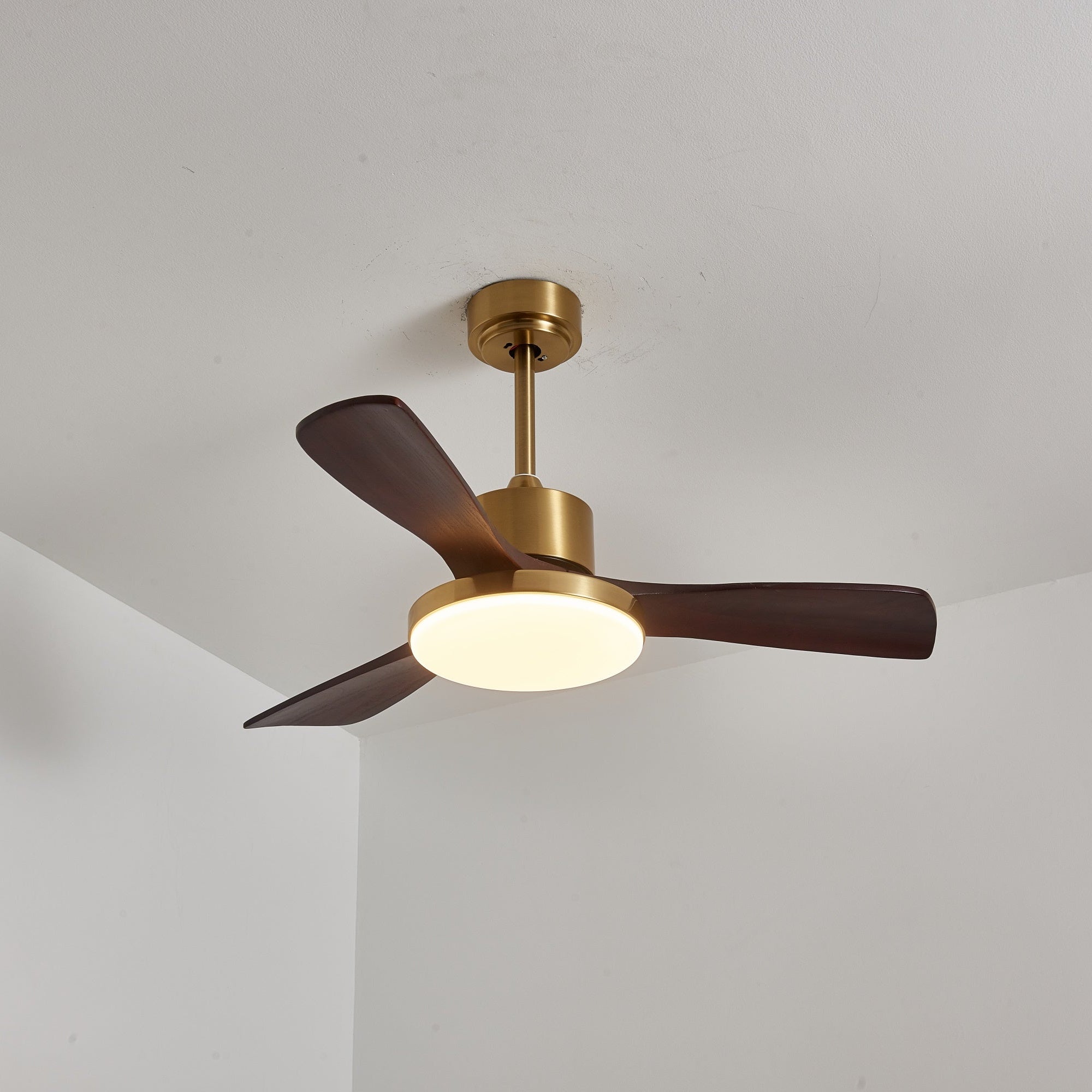 Eloria Ceiling Fan Light