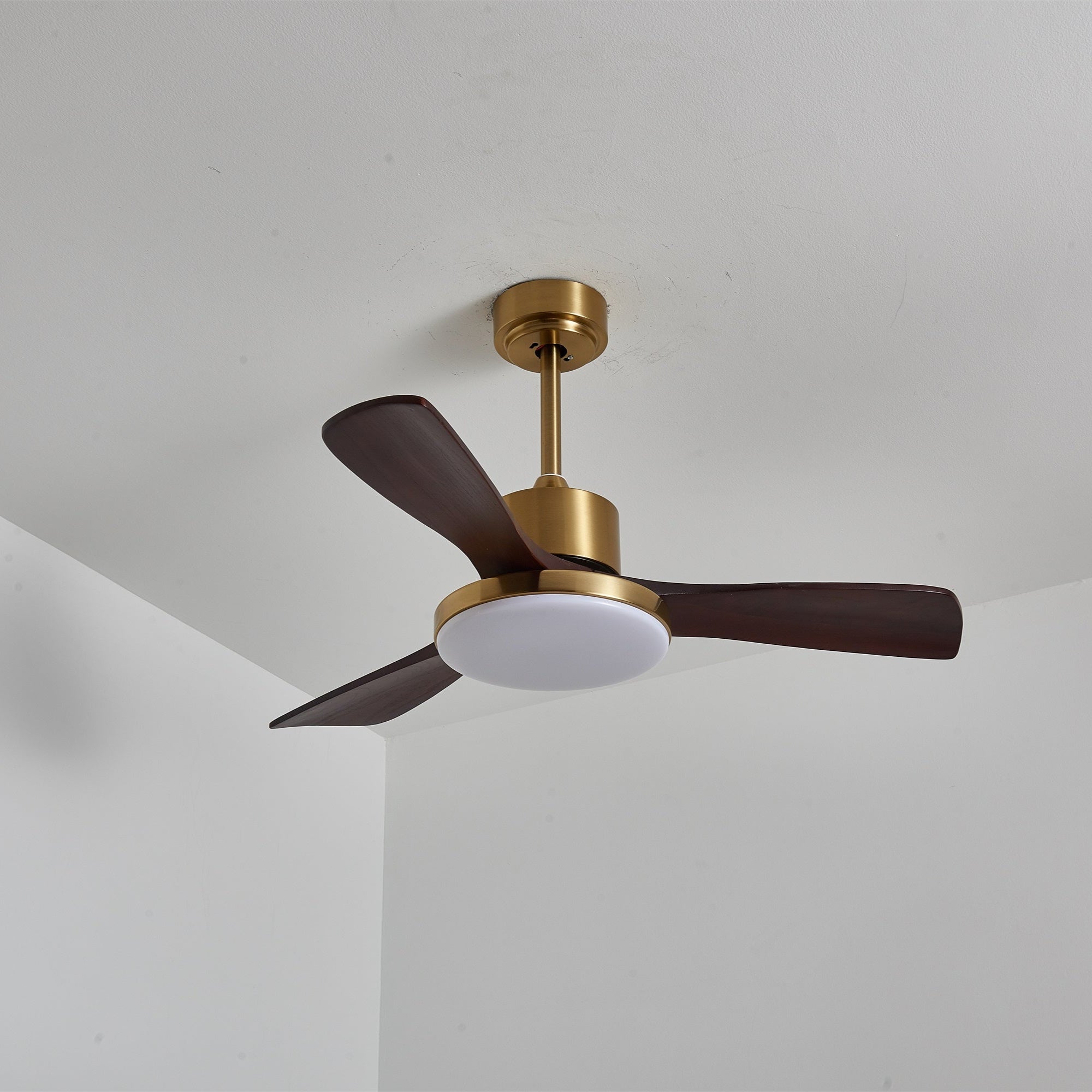 Eloria Ceiling Fan Light