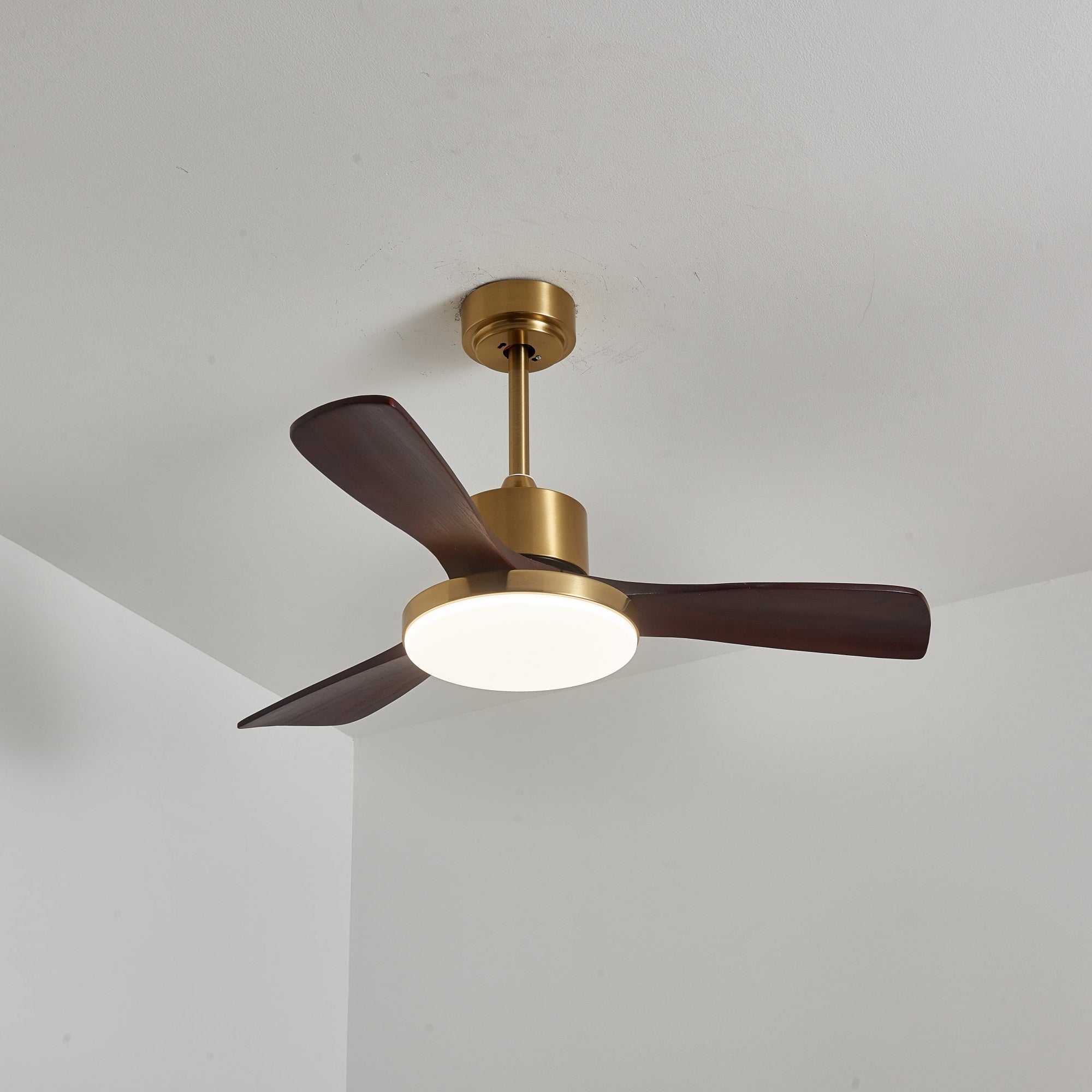 Eloria Ceiling Fan Light