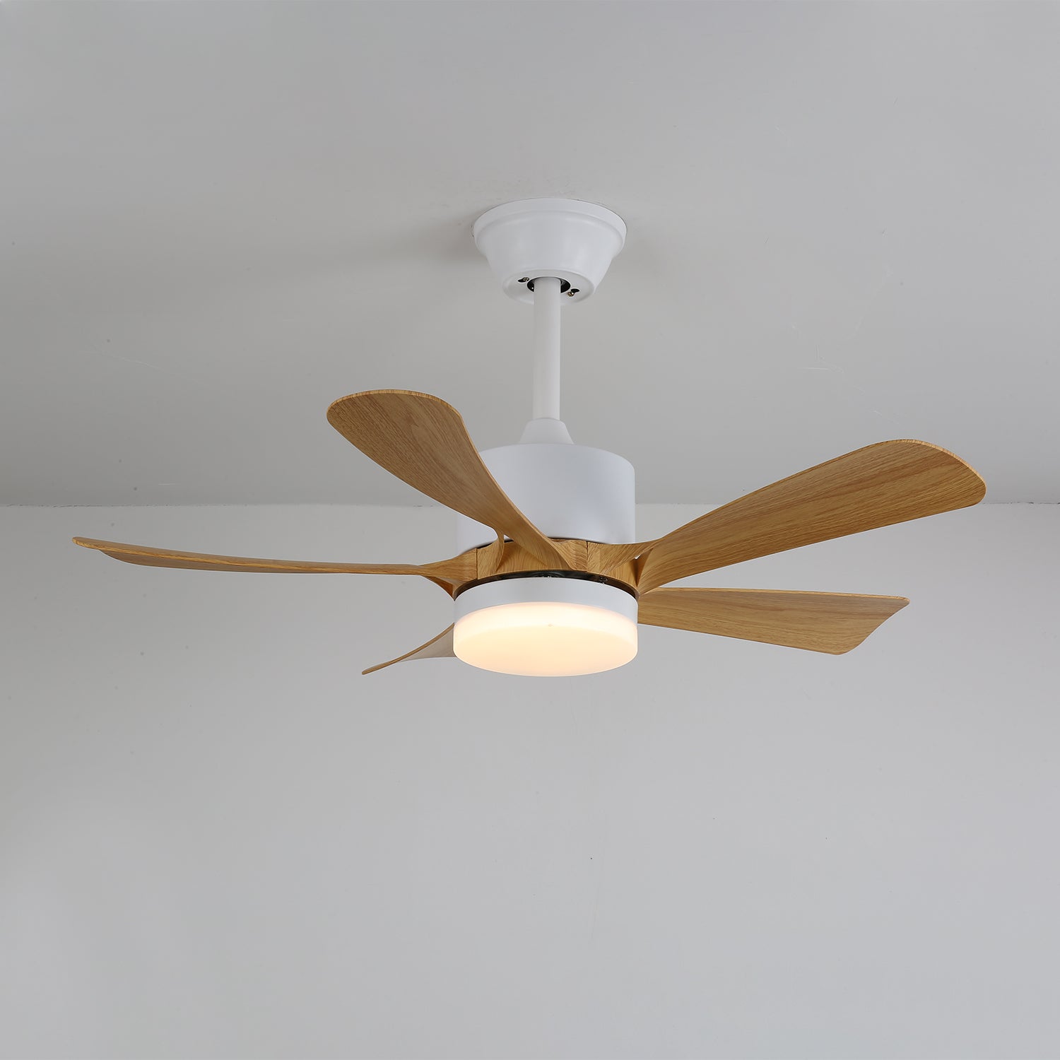Avonero Ceiling Fan Light