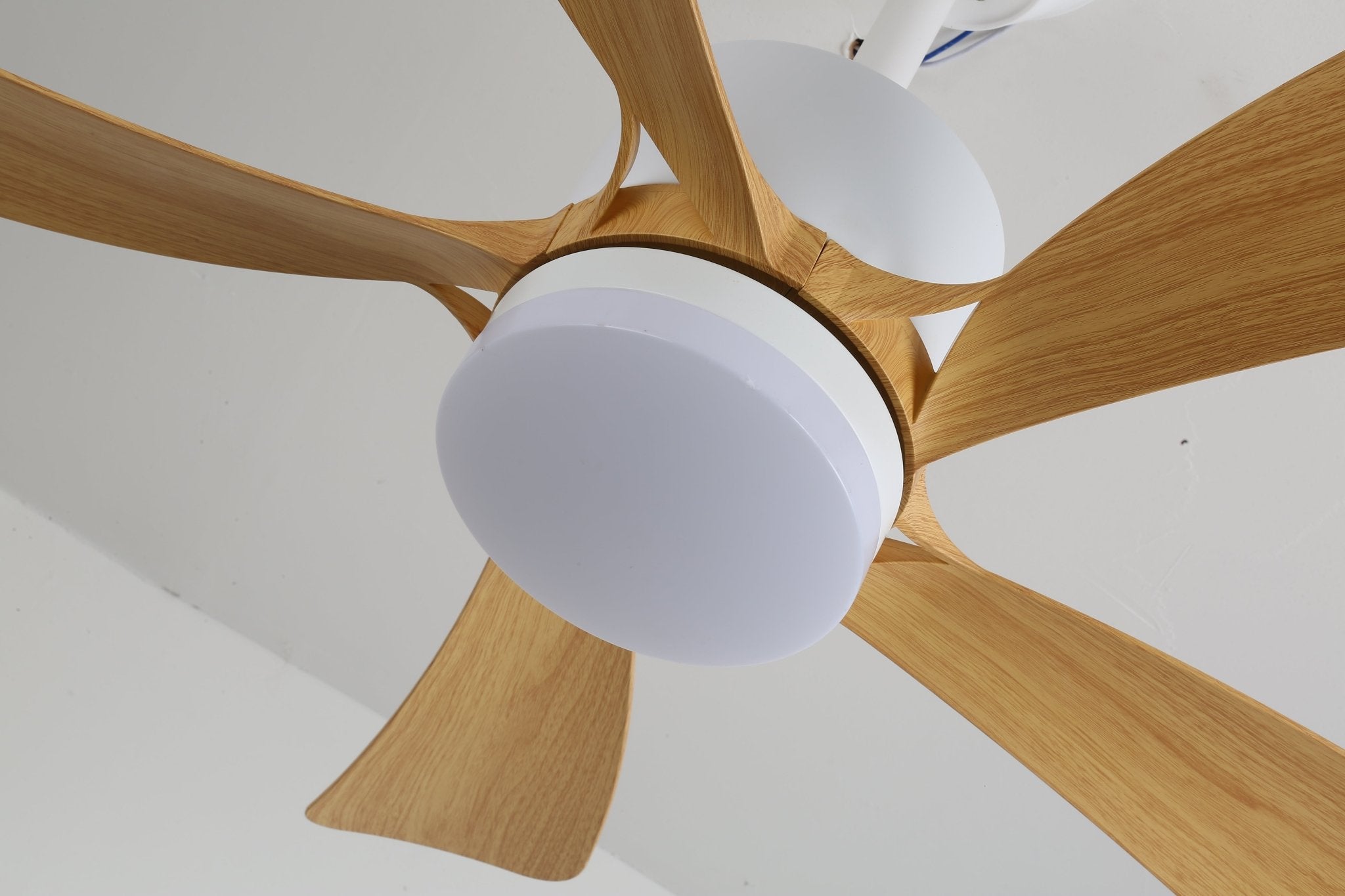 Avonero Ceiling Fan Light